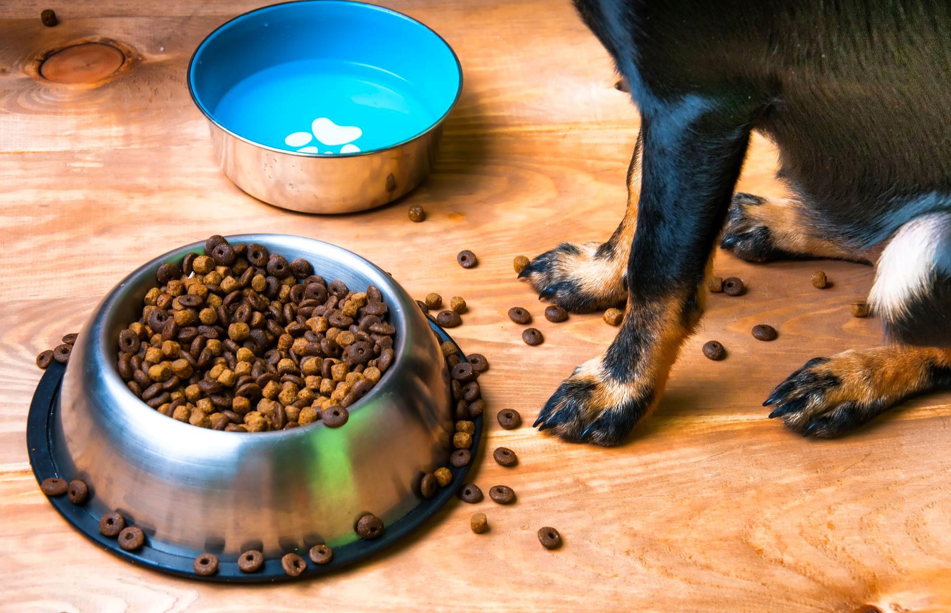 Remove pet food