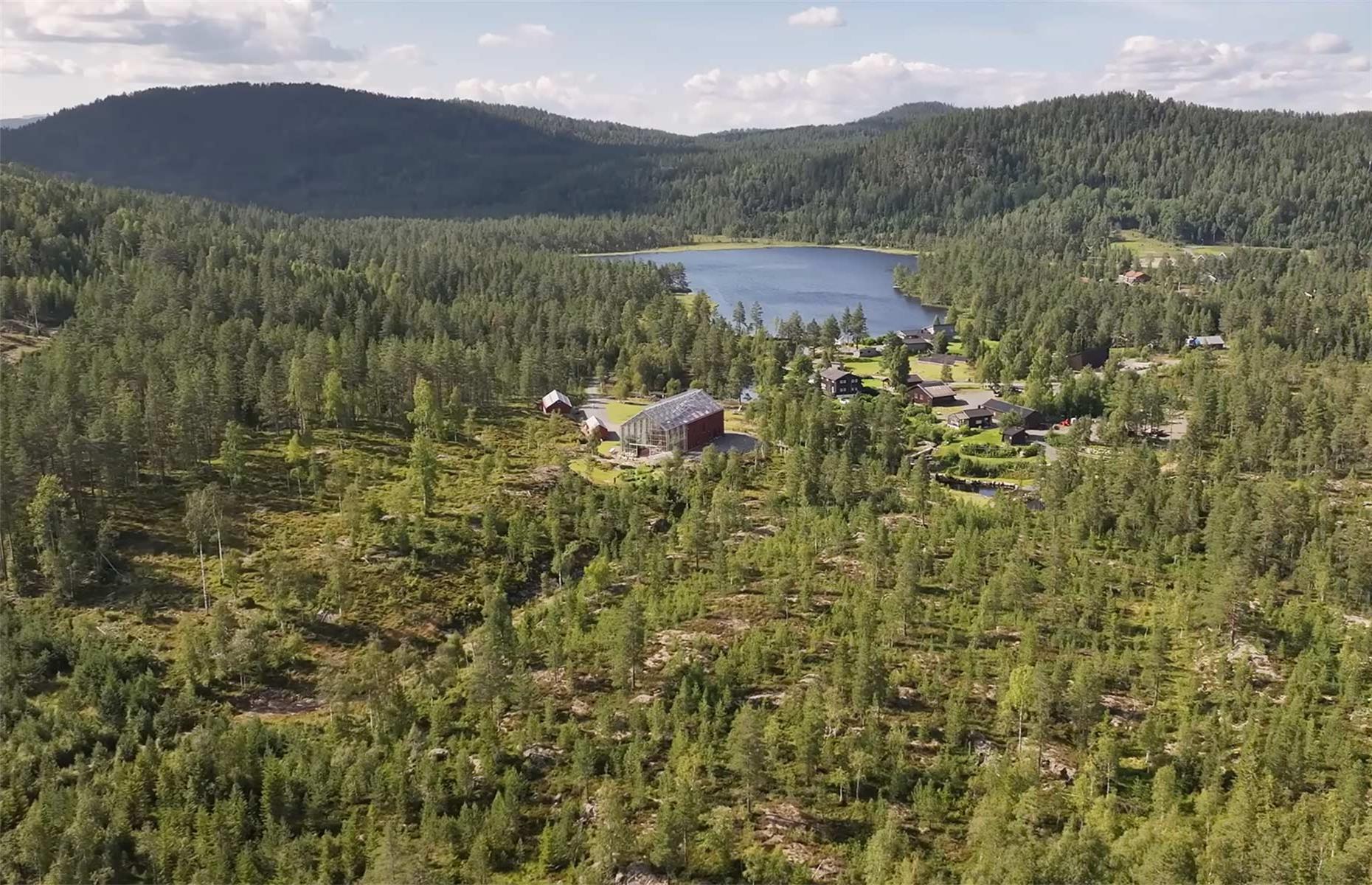 An idyllic location in a Norwegian forest