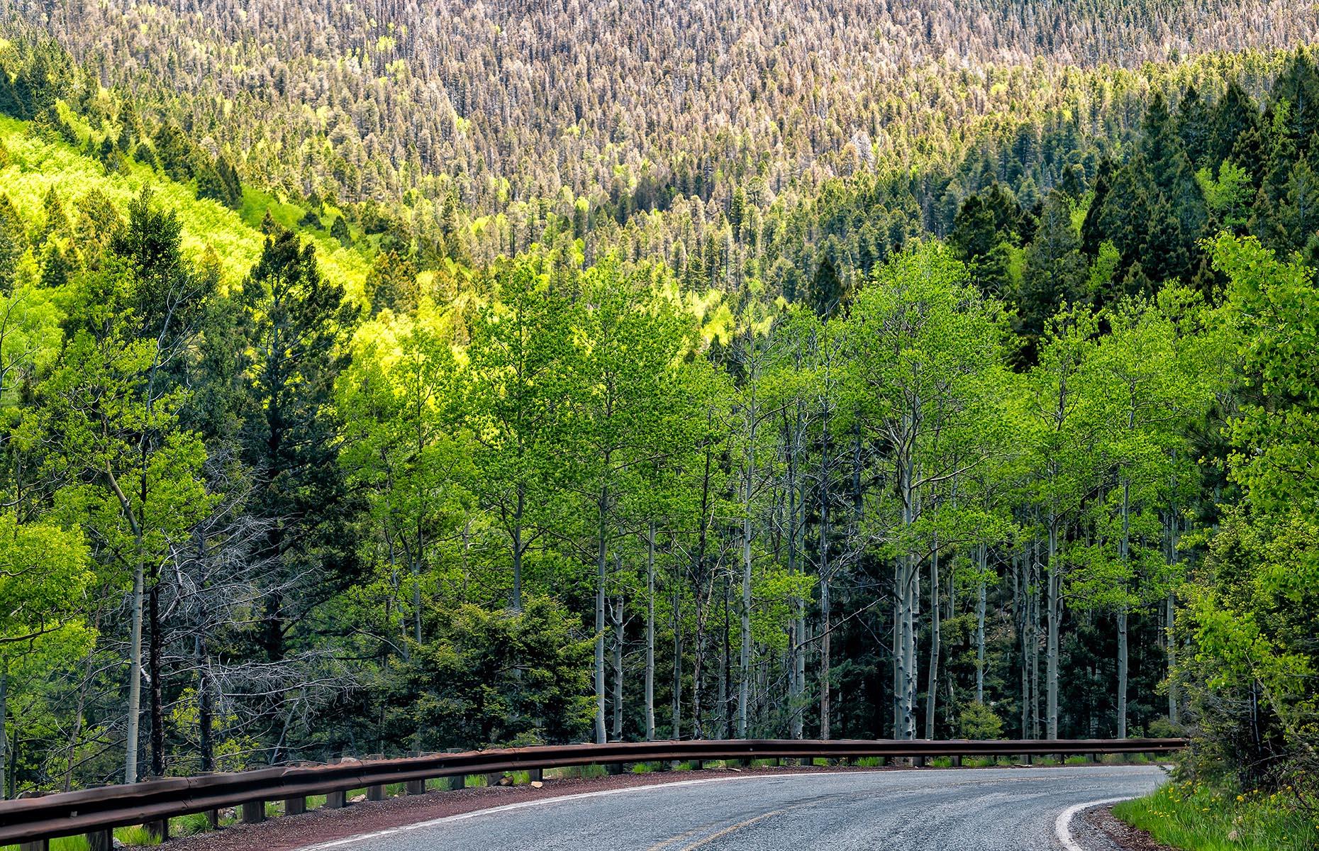 Santa Fe, New Mexico