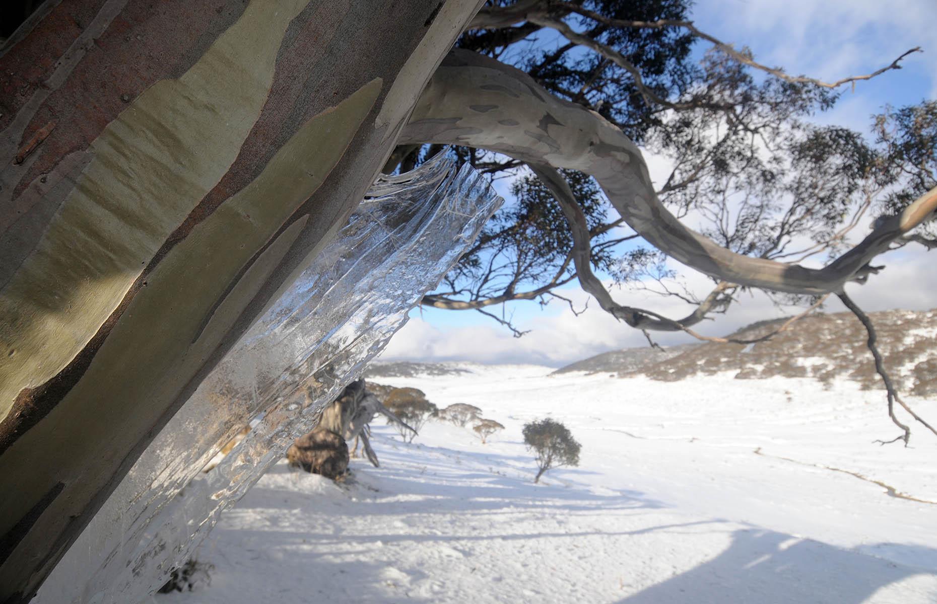 Australia does freeze over