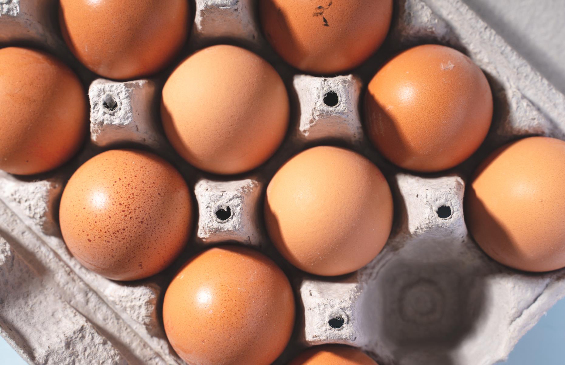 Bind with egg