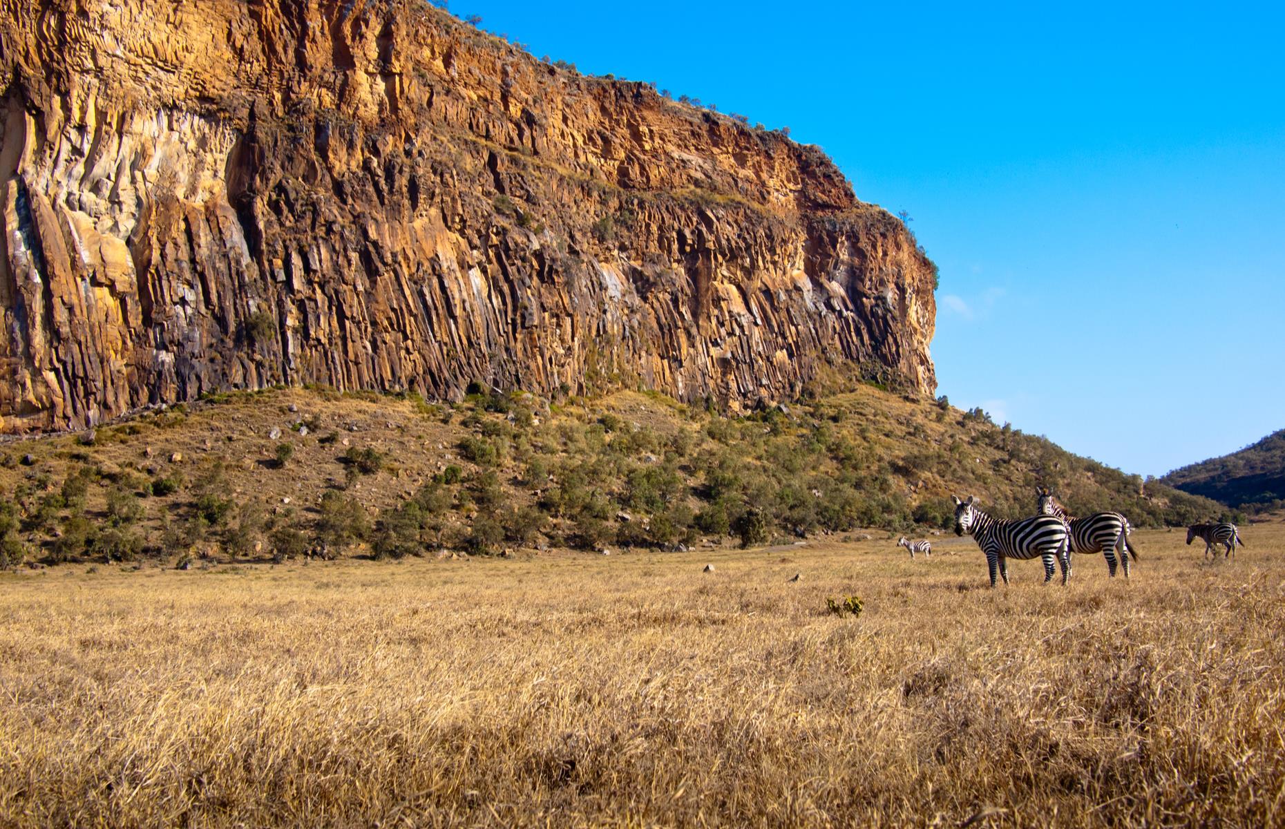 Hell’s Gate National Park, Kenya: The Lion King