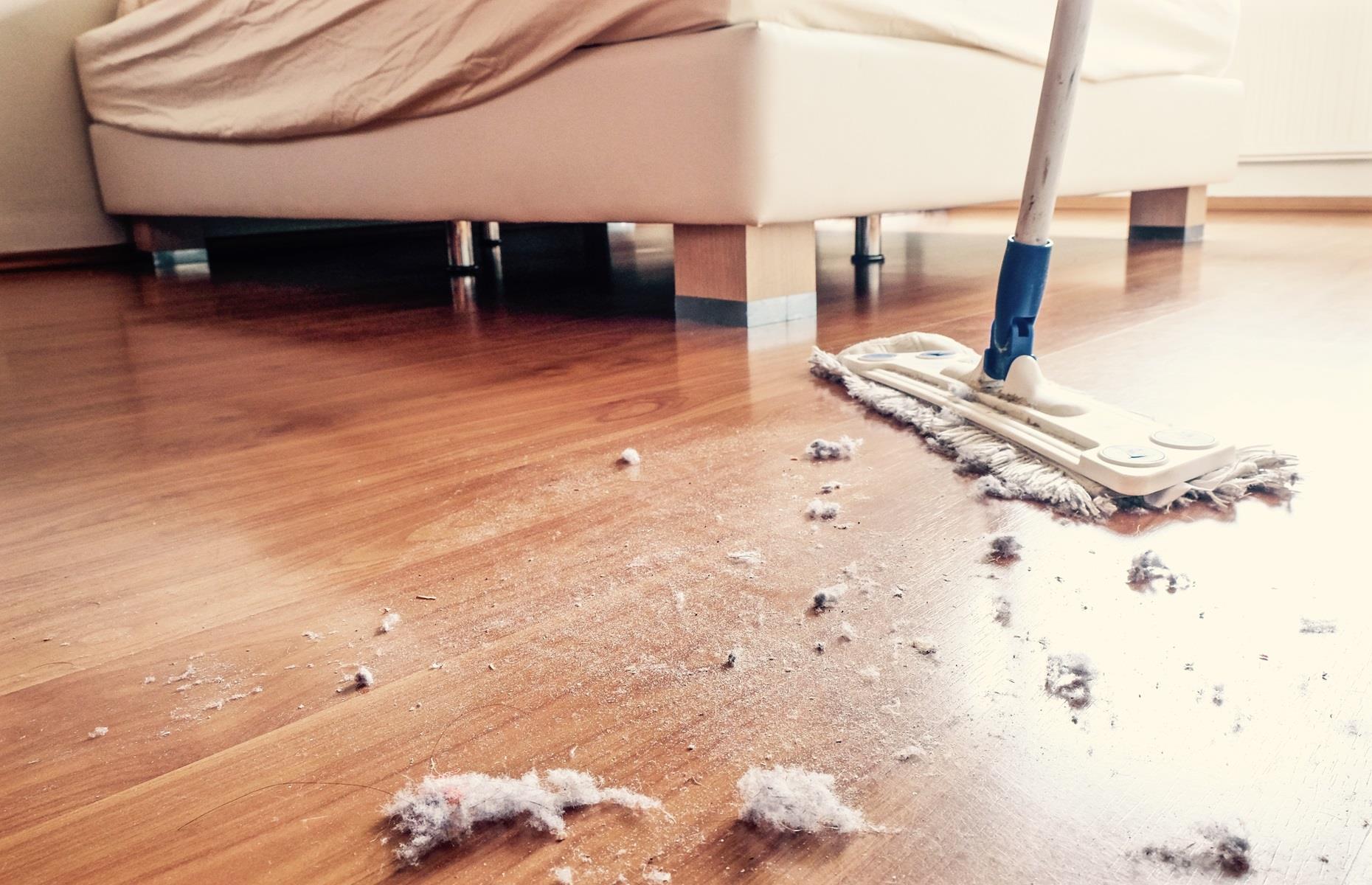 Dust bust corners and crevasses