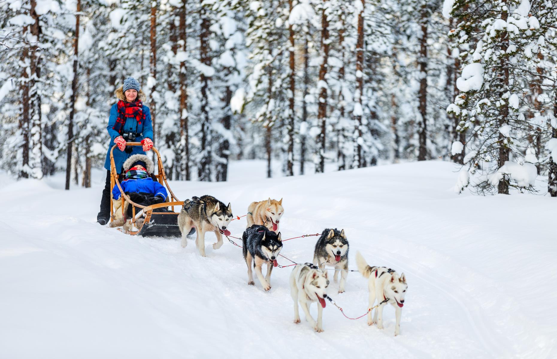 There's more to the slopes than skiing