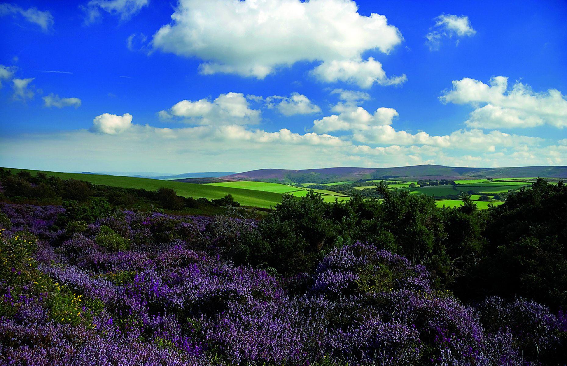 February: Exmoor, Devon/Somerset 