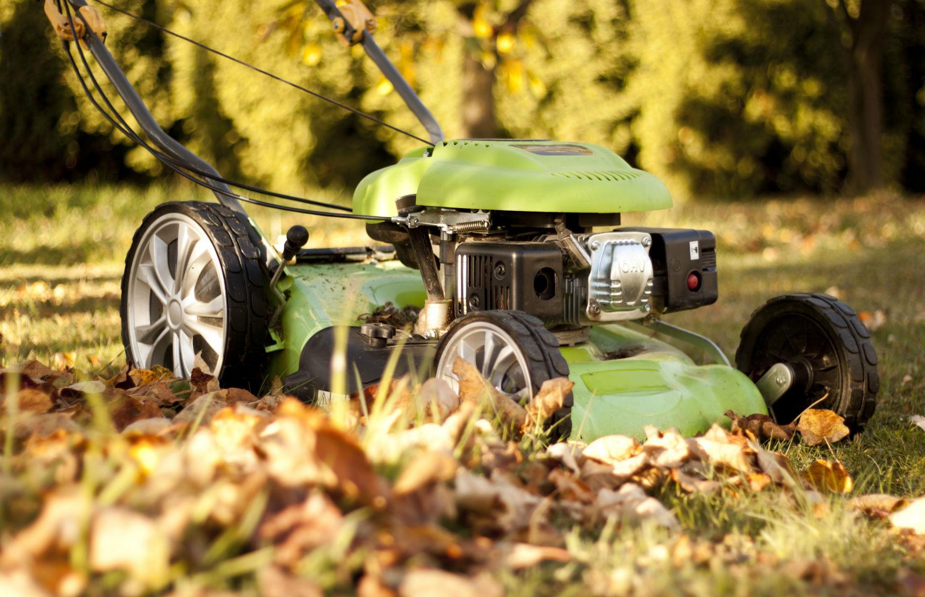 Mow your leaves 