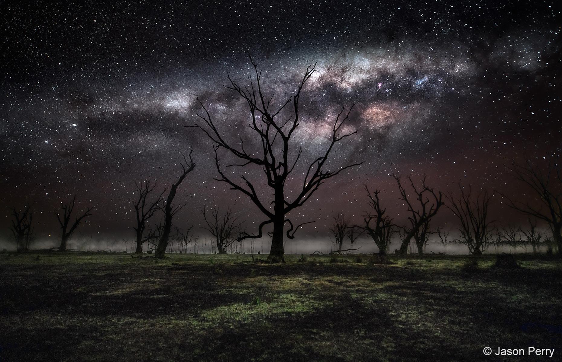 The Outlier by Jason Perry