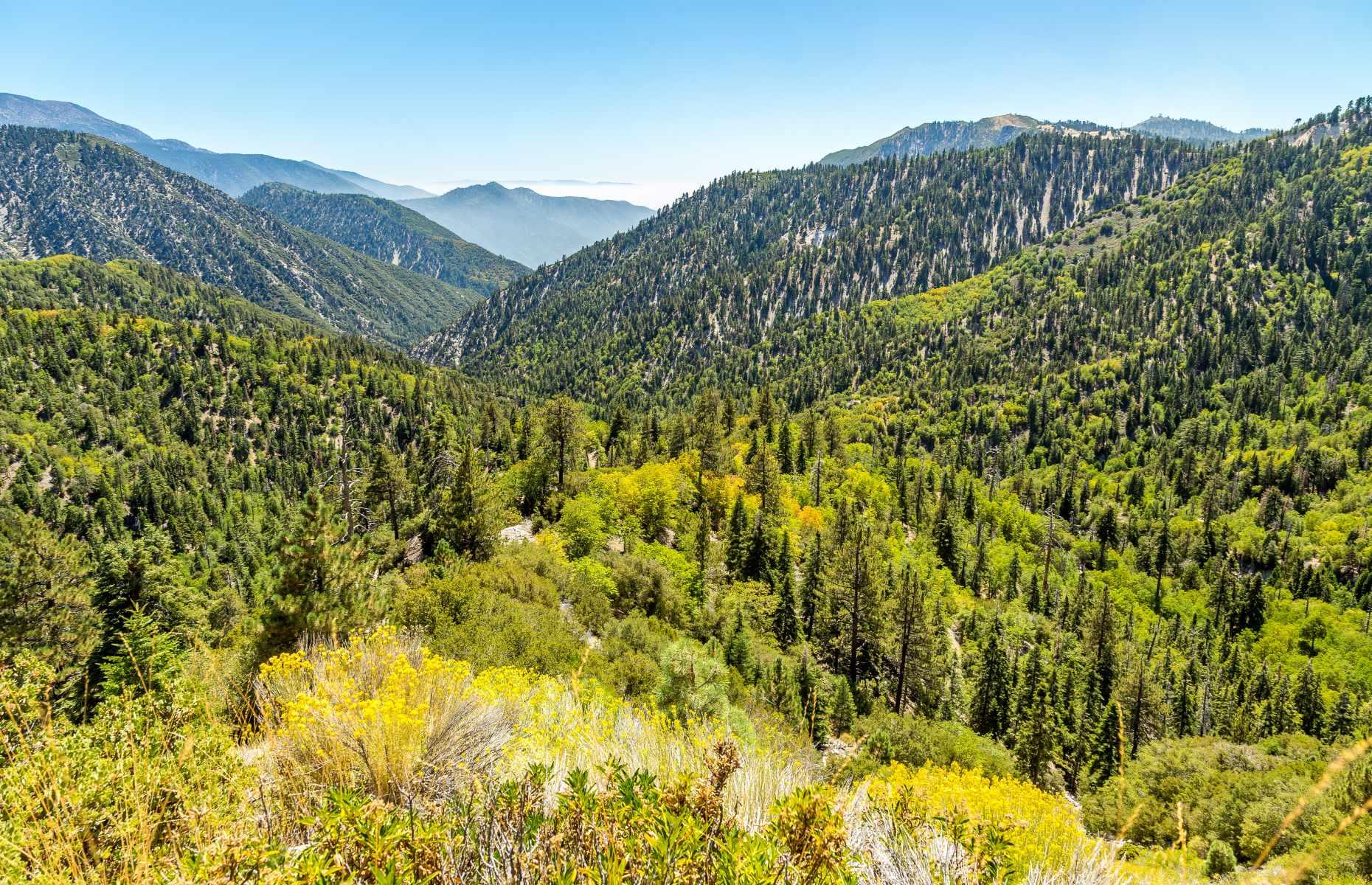 24. San Bernardino National Forest, California