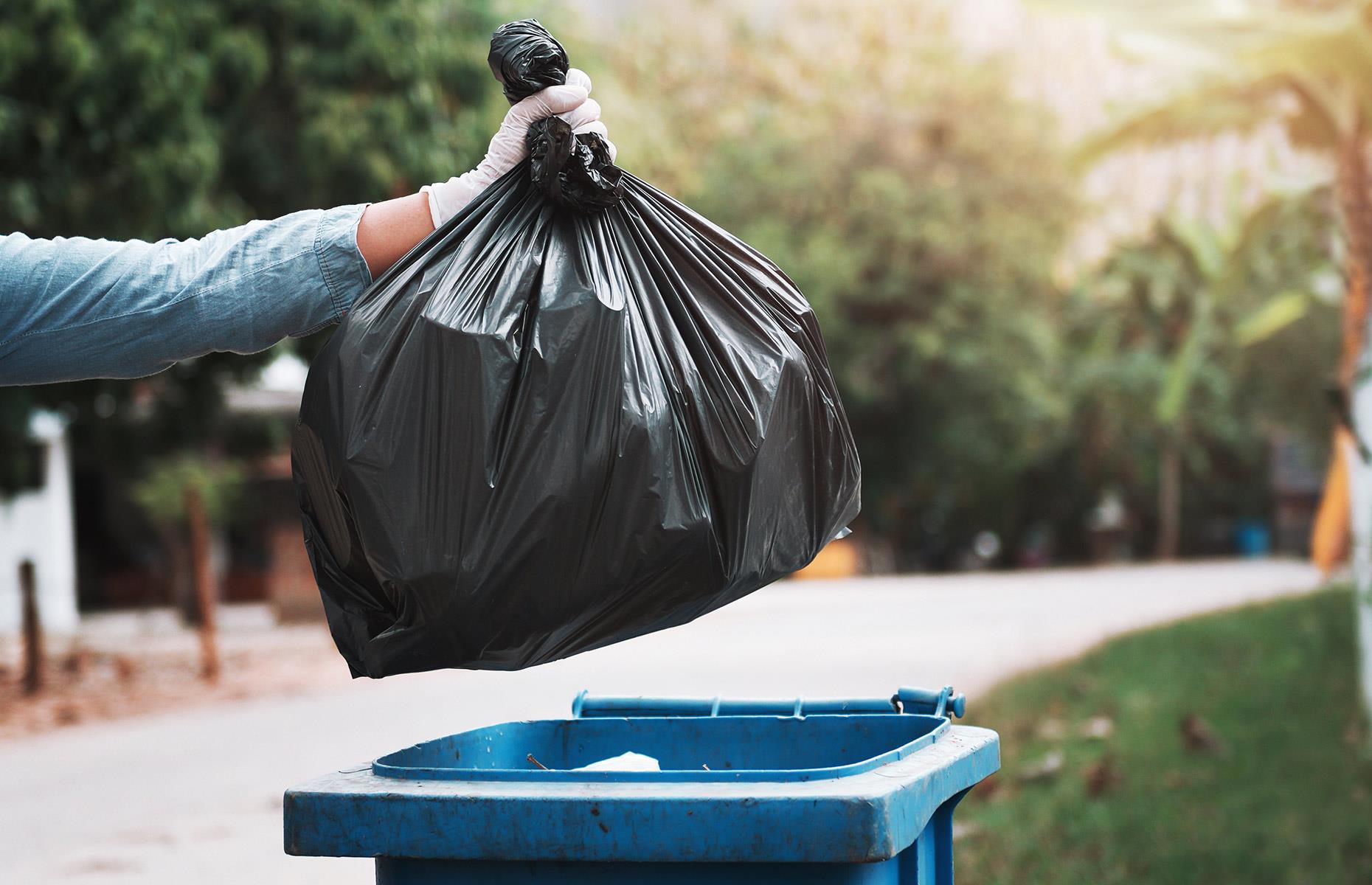 Take the bins out