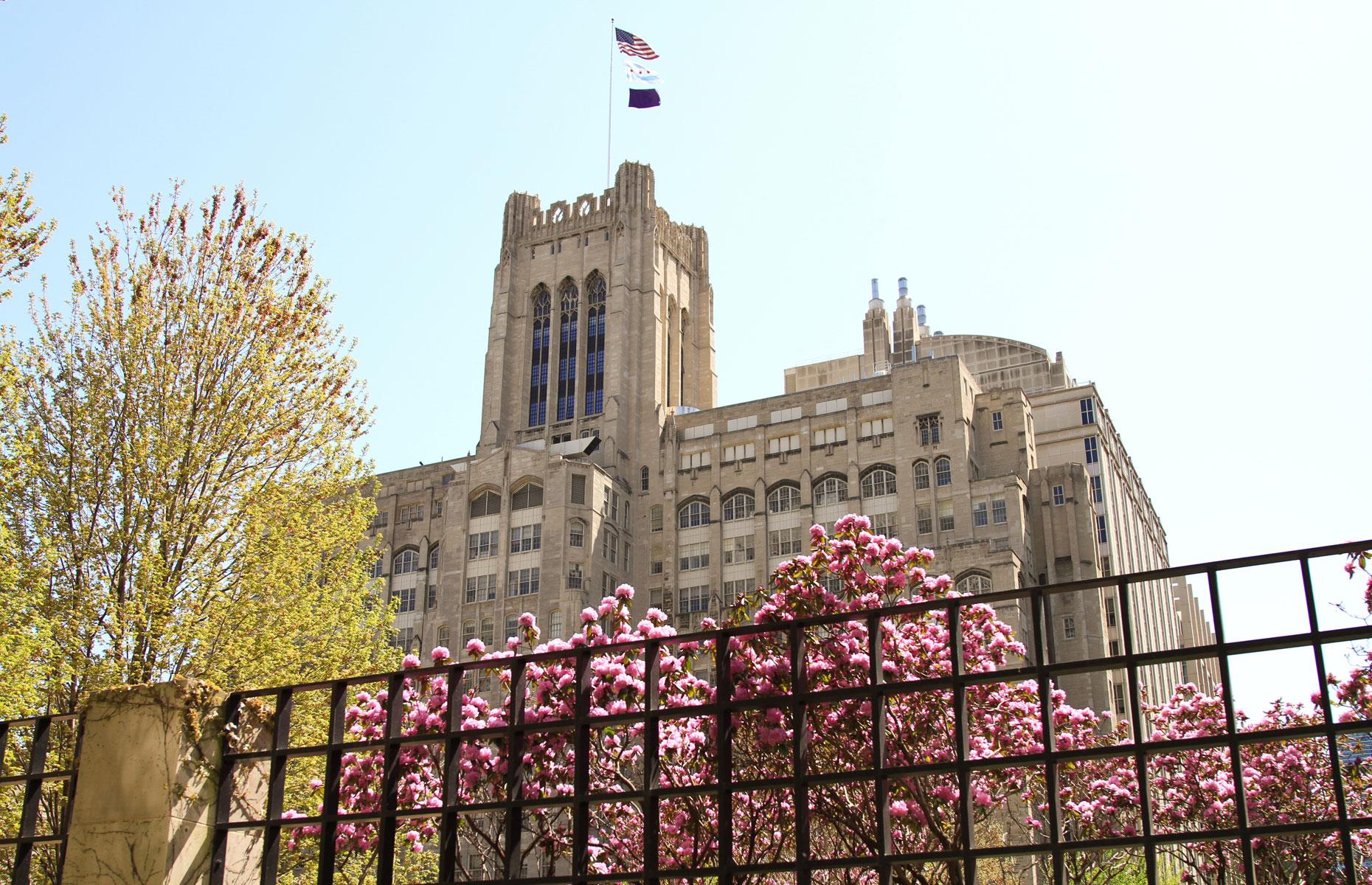 8) Northwestern University, USA: 2,725