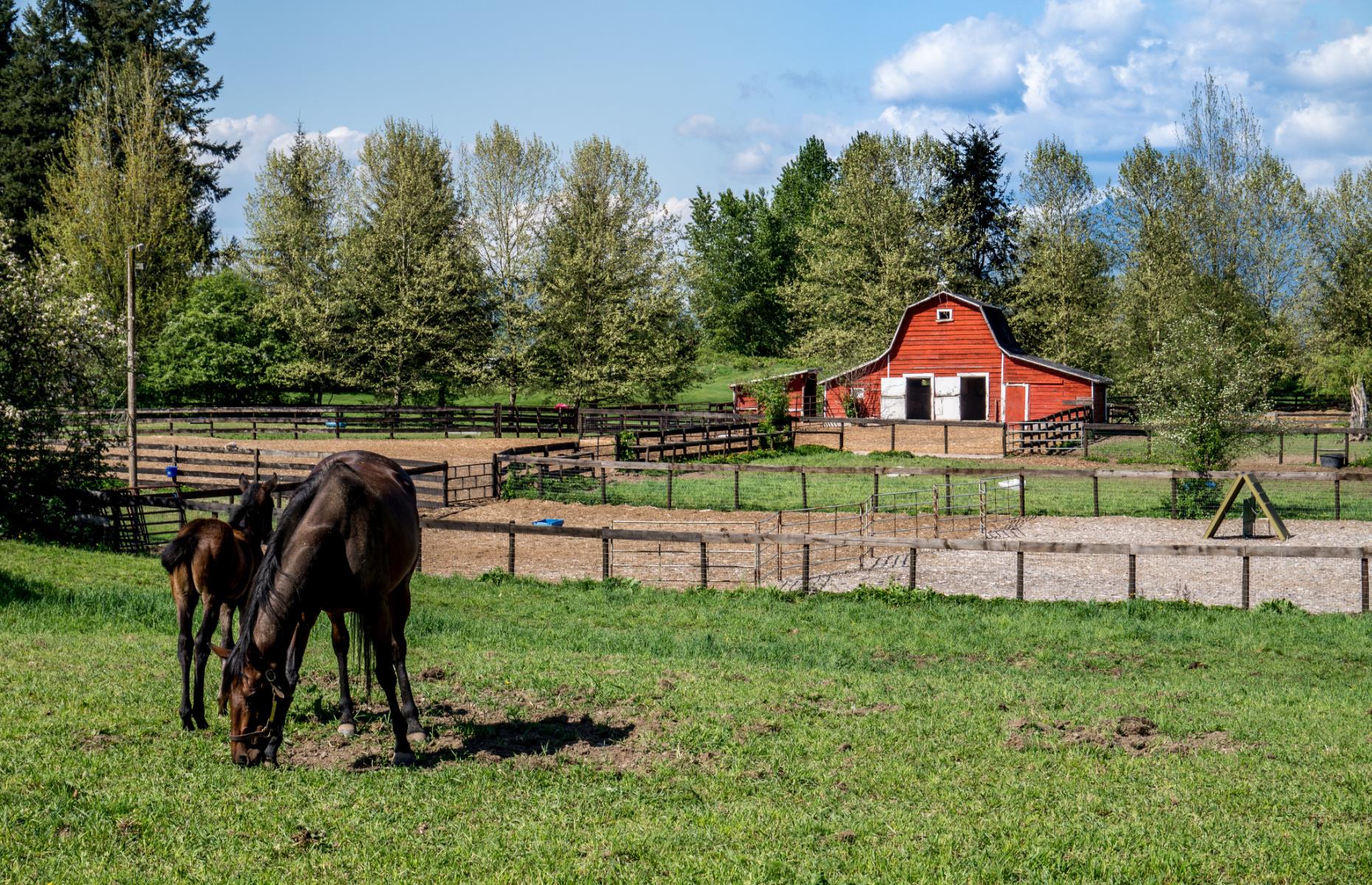 British Columbia: Vancouver to the Fraser Valley