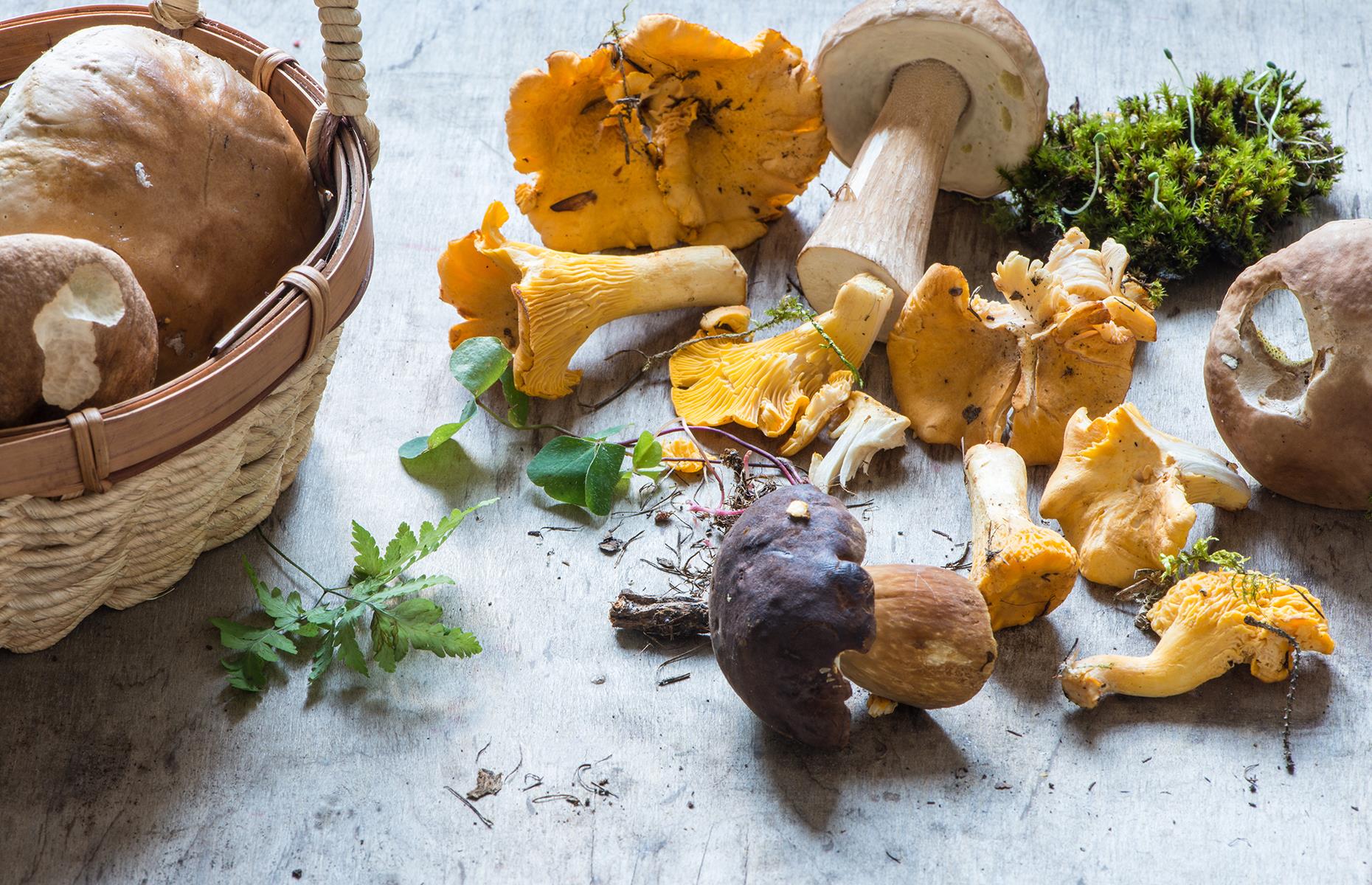 13. Mushrooms