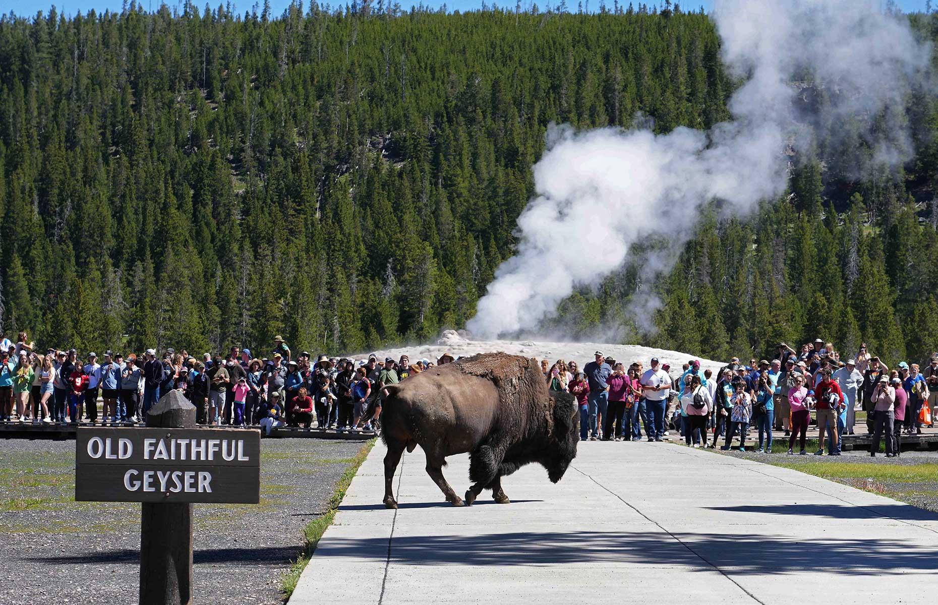 Yellowstone National Park, Wyoming, Idaho and Montana