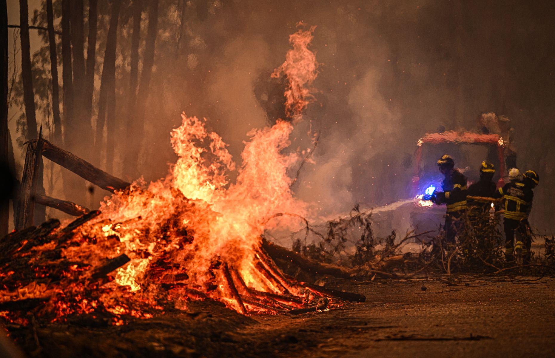 Record wildfires sweep the world