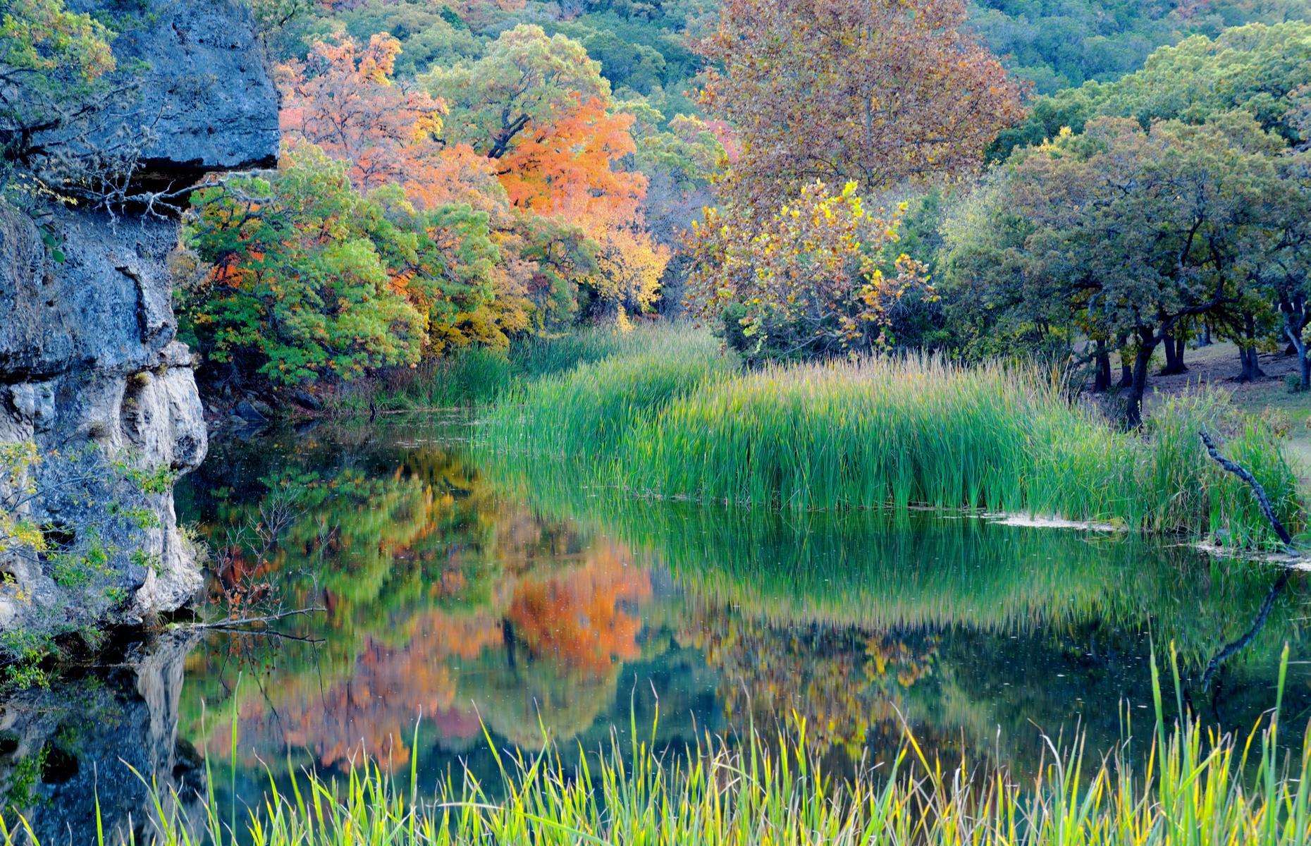 Lost Maples State Natural Area, Texas