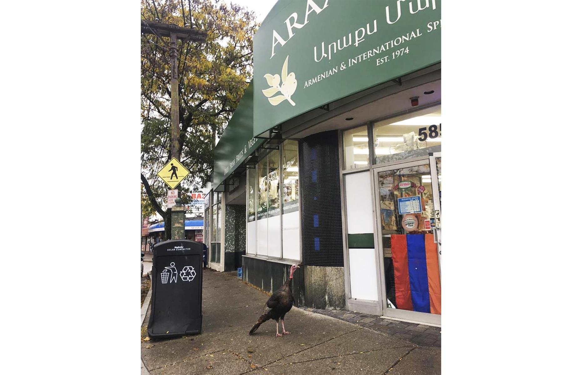 Massachusetts: Arax Market, Watertown