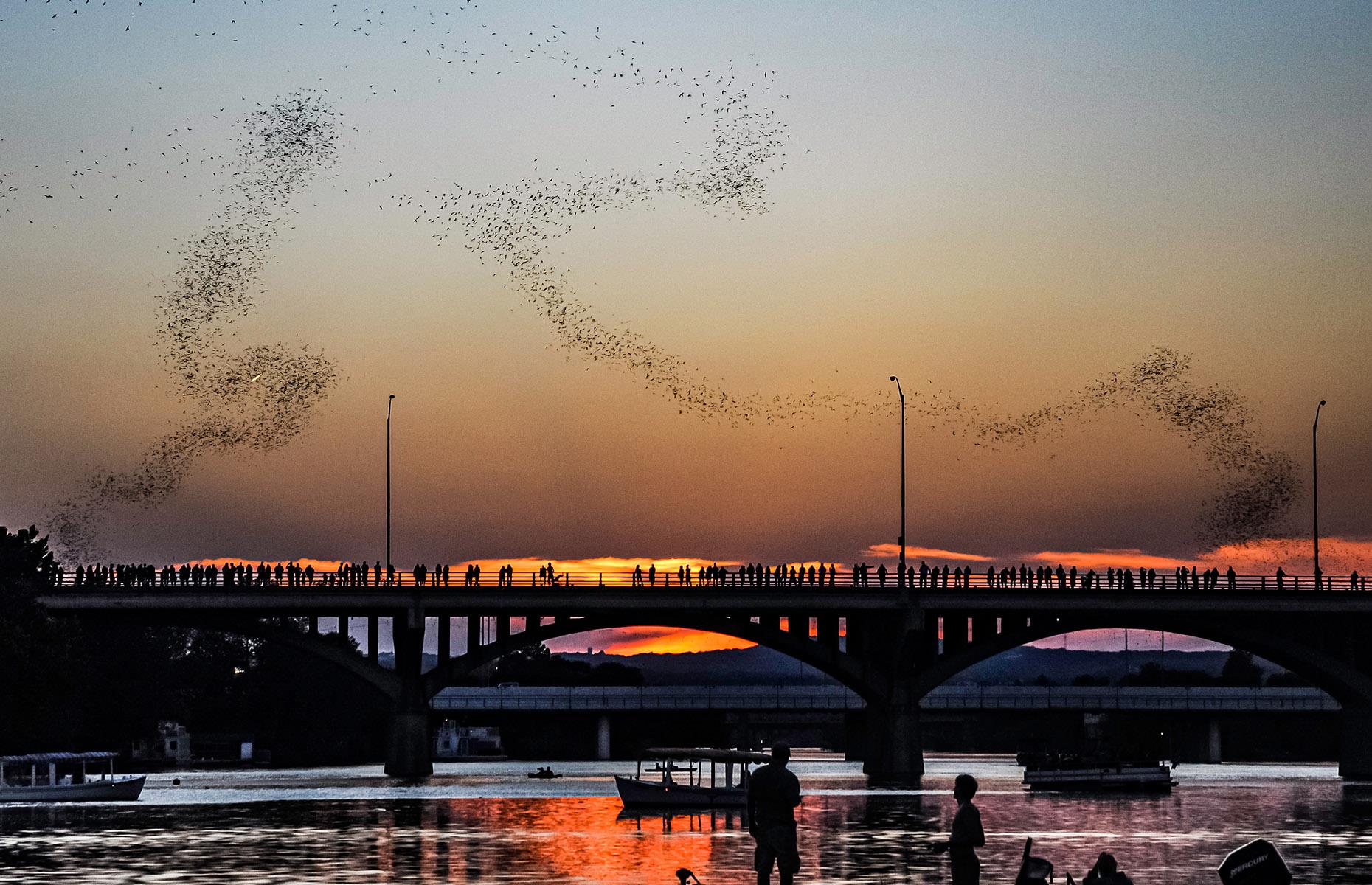 41. Watch millions of bats emerge into the night