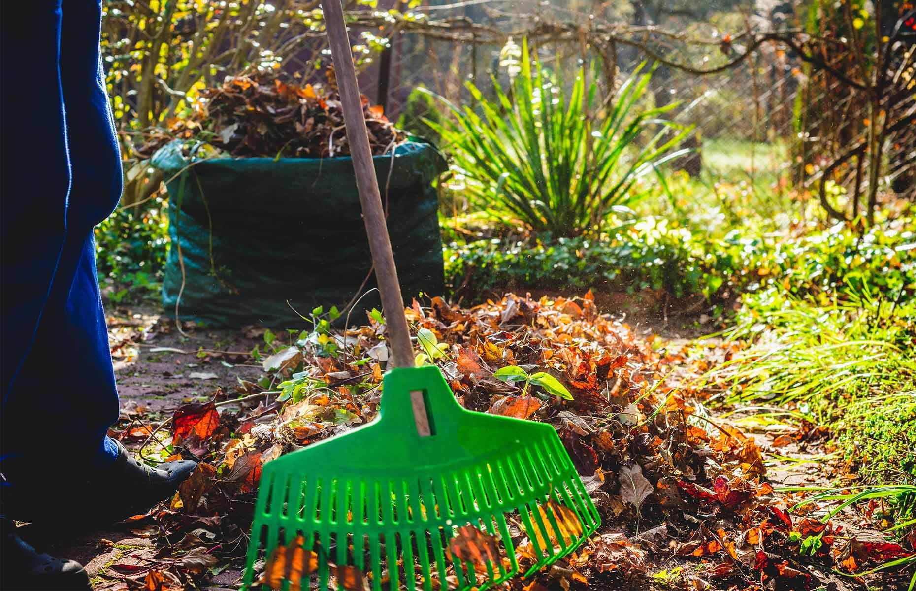 Tidy the garden