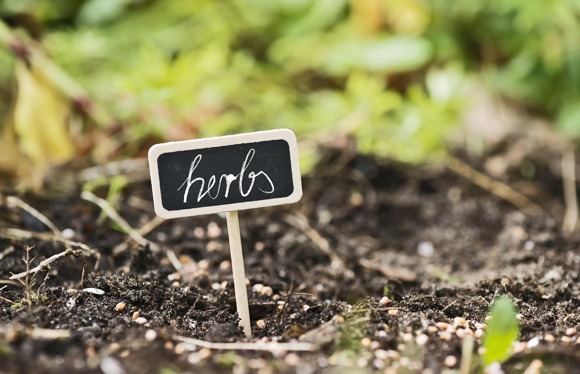 Use plant markers
