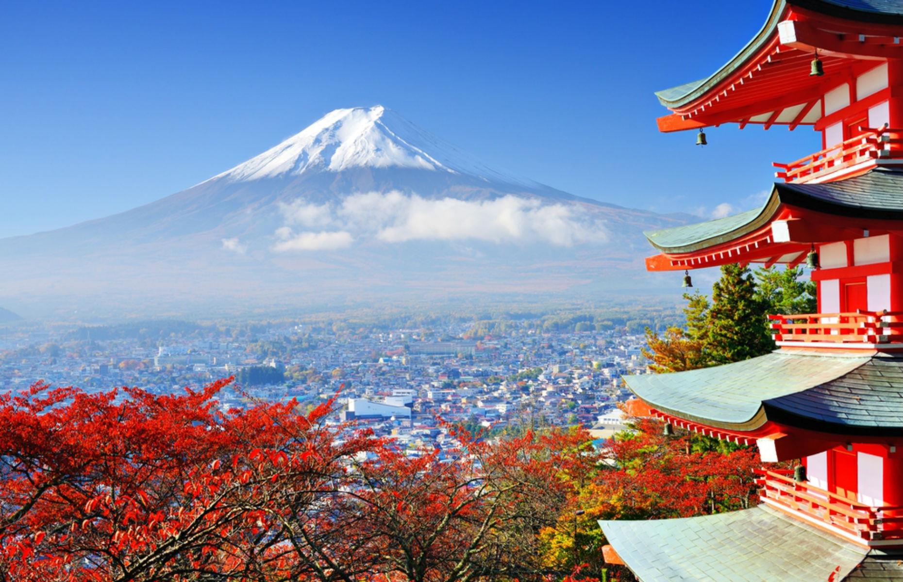 Joint 4) Japan