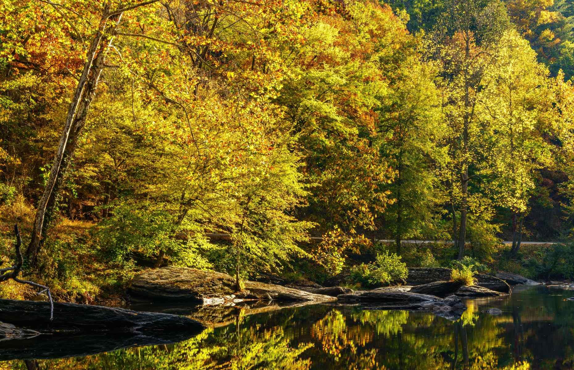 27. Cherokee National Forest, Tennessee and North Carolina