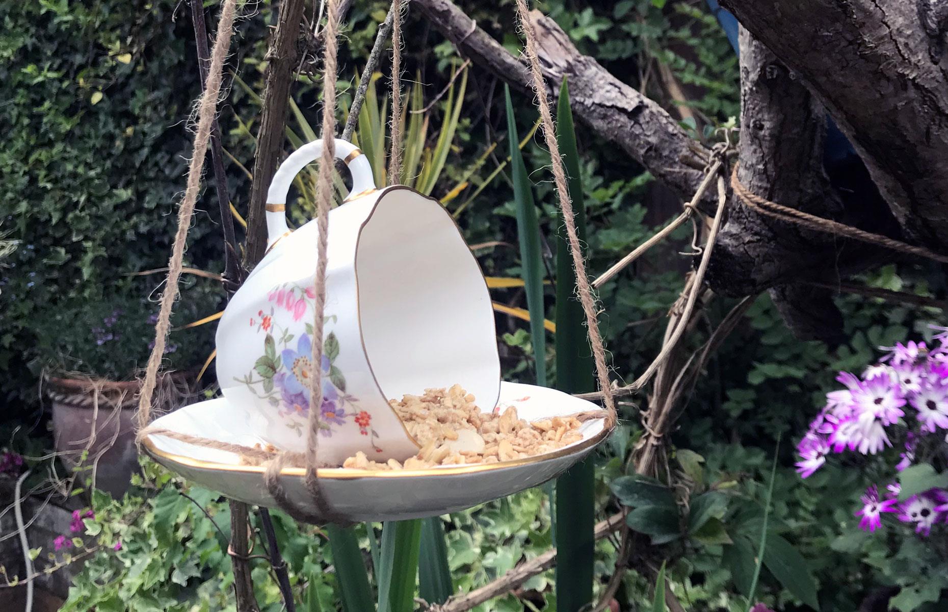 Feed birds with teacups