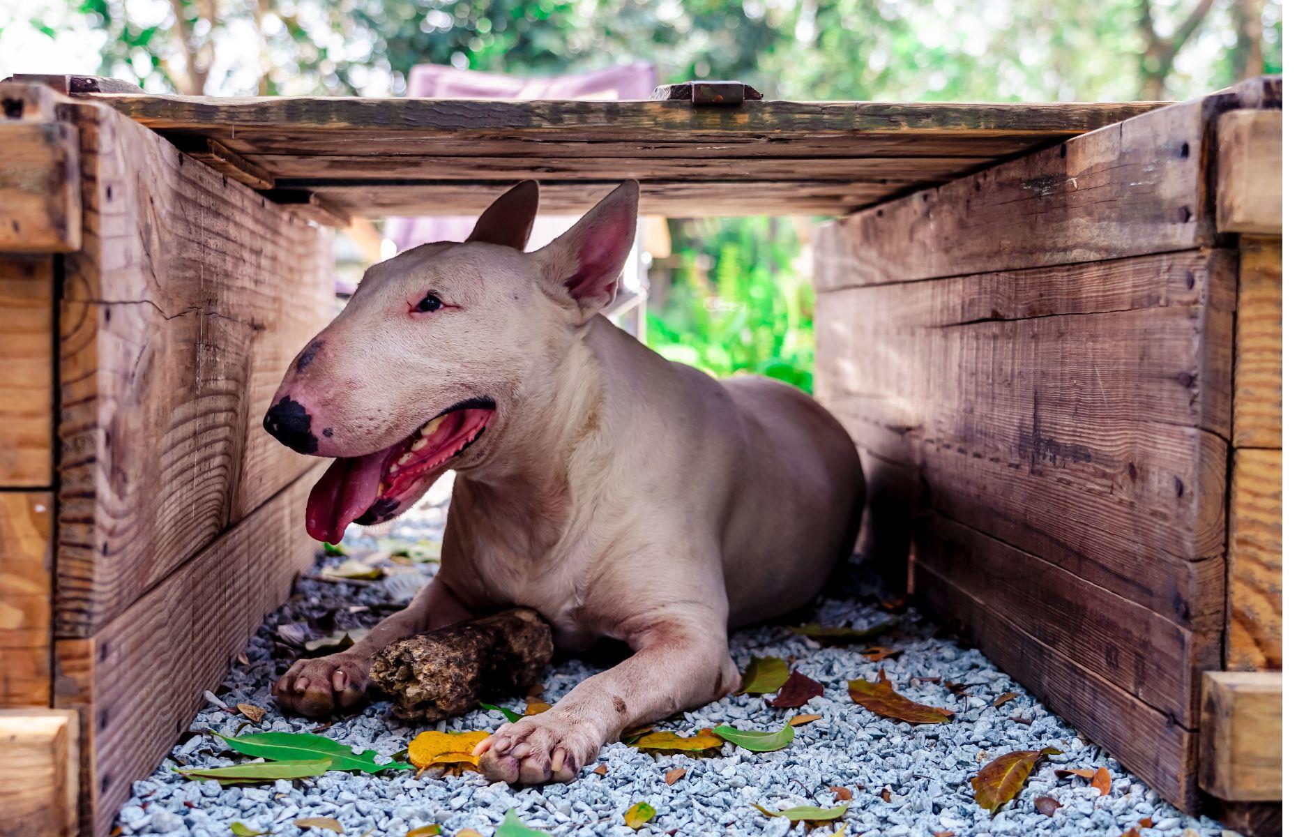 Spoil your dog with a pallet bed