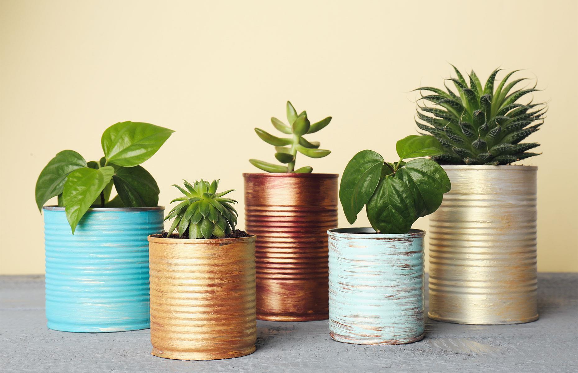 Tin can planters