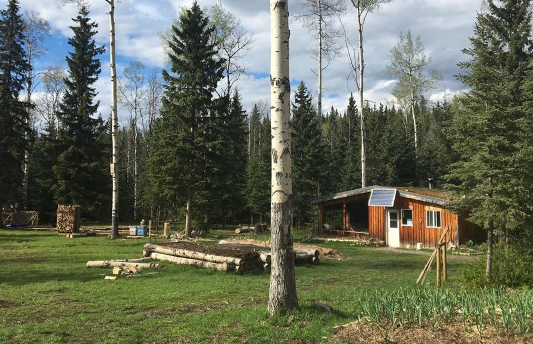 Una cabaña para siete en la Columbia Británica, Canadá