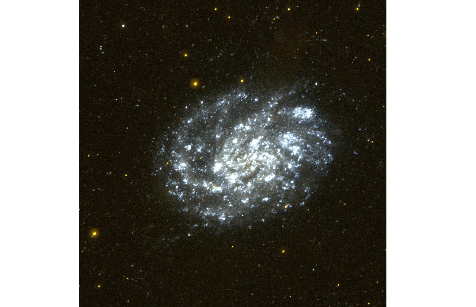 Galaxy NGC 300