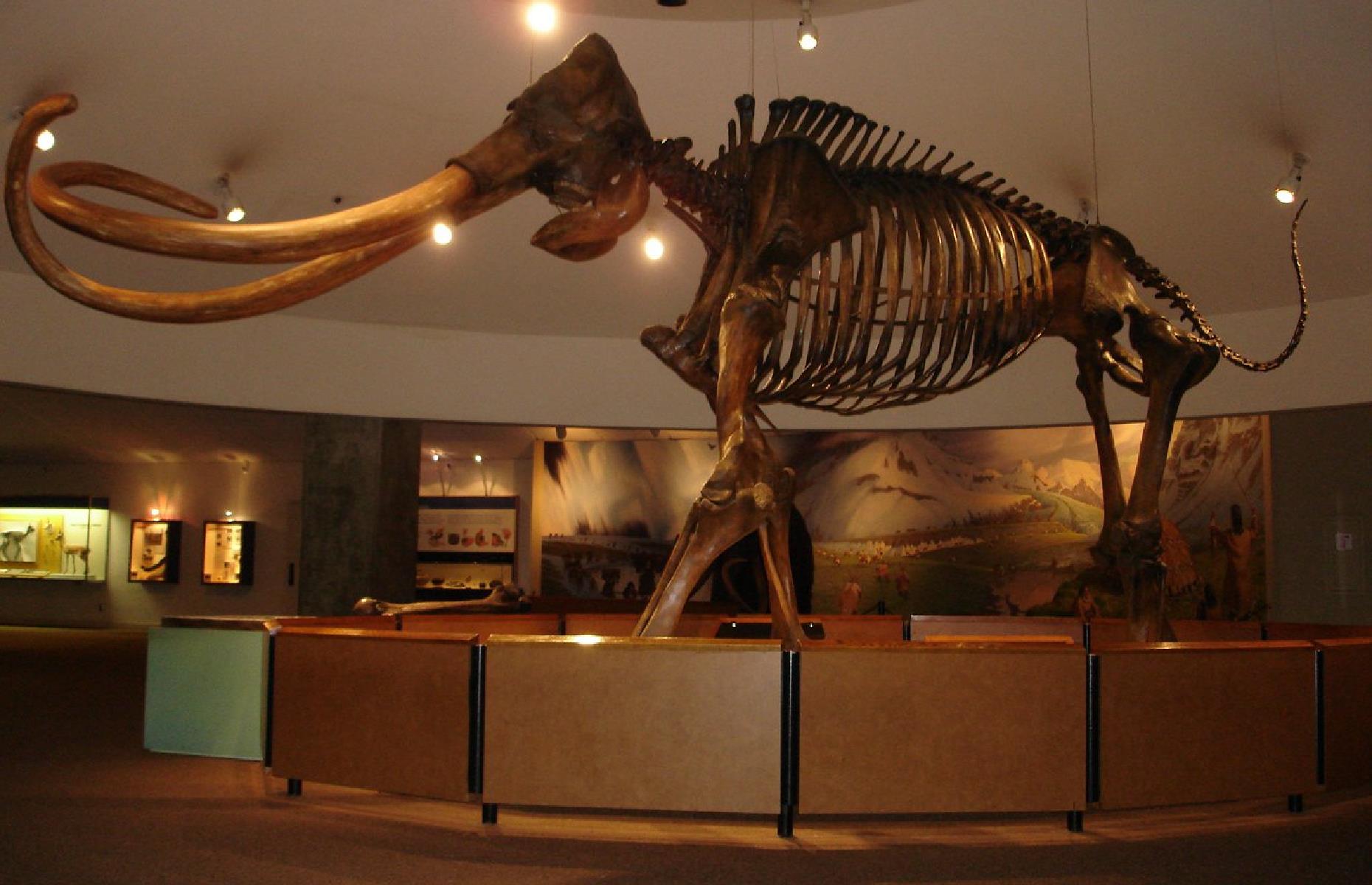 Museum at La Brea Tar Pits, Los Angeles, California