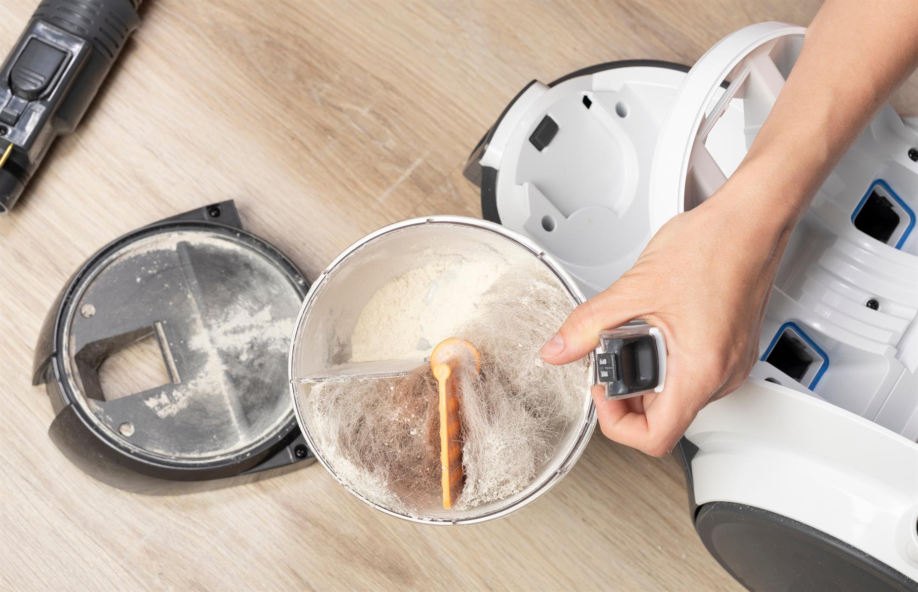 Rid dust from the vacuum cleaner
