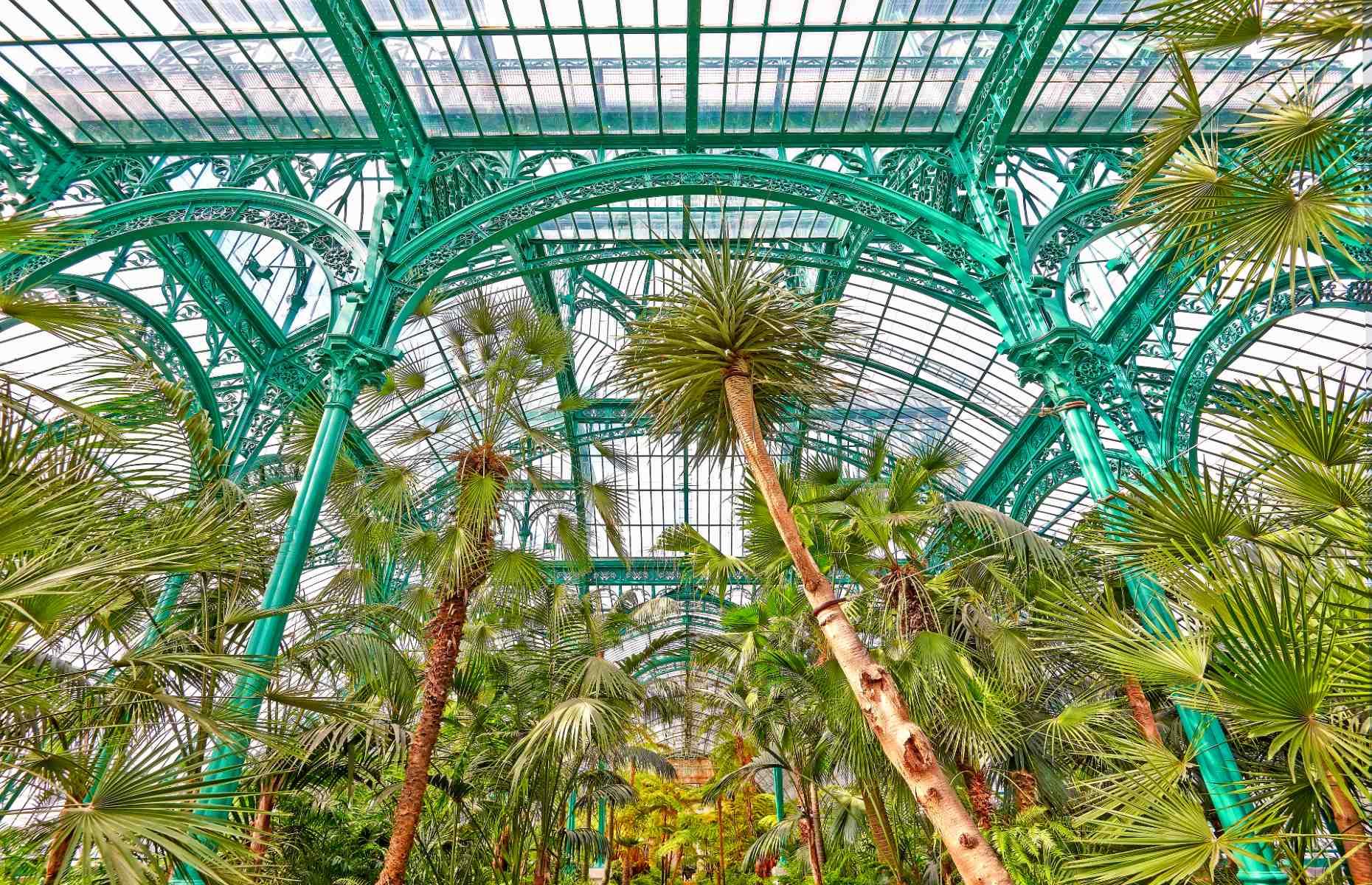 Royal Greenhouses of Laeken, Brussels, Belgium