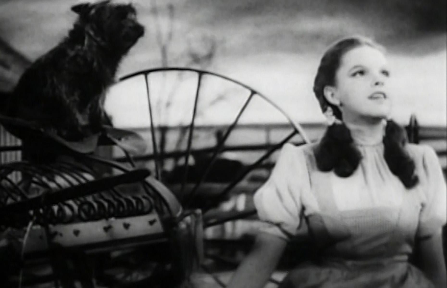 1939: The Golden Age of Hollywood