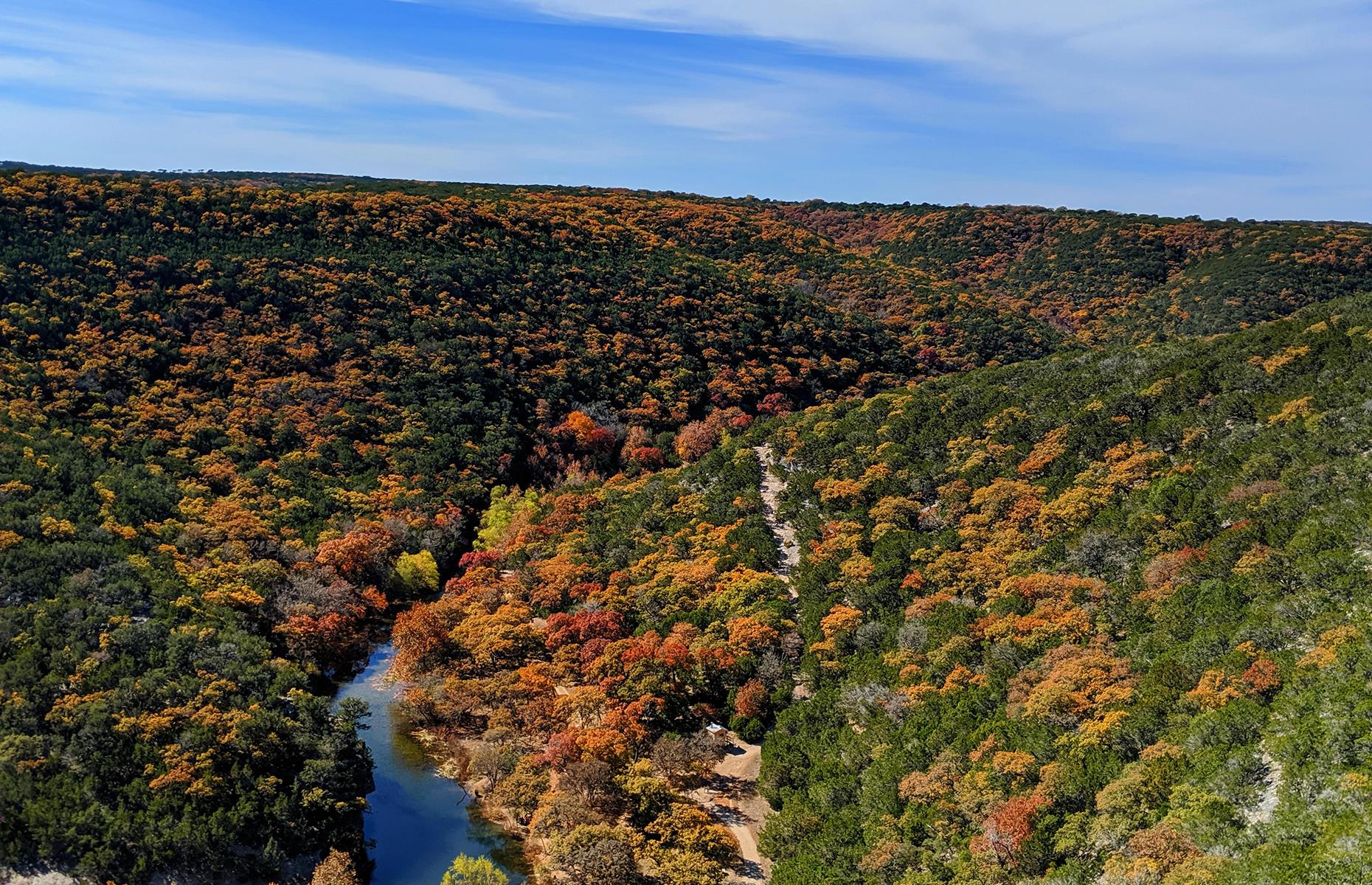 24. Spot autumnal foliage