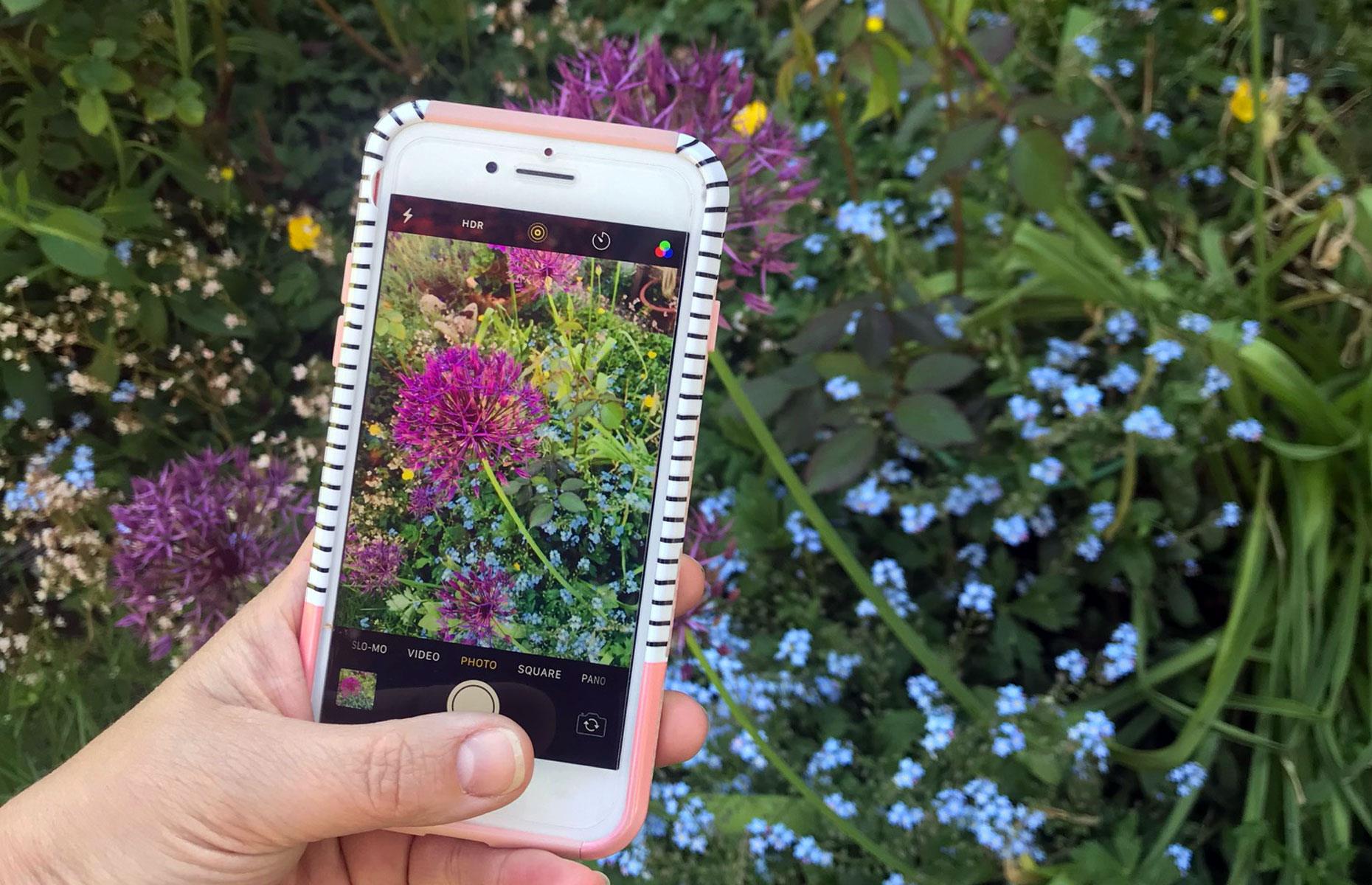 Download a plant app