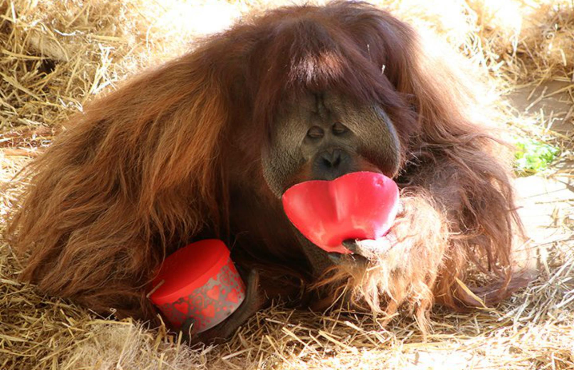 Indianapolis Zoo, Indianapolis, Indiana