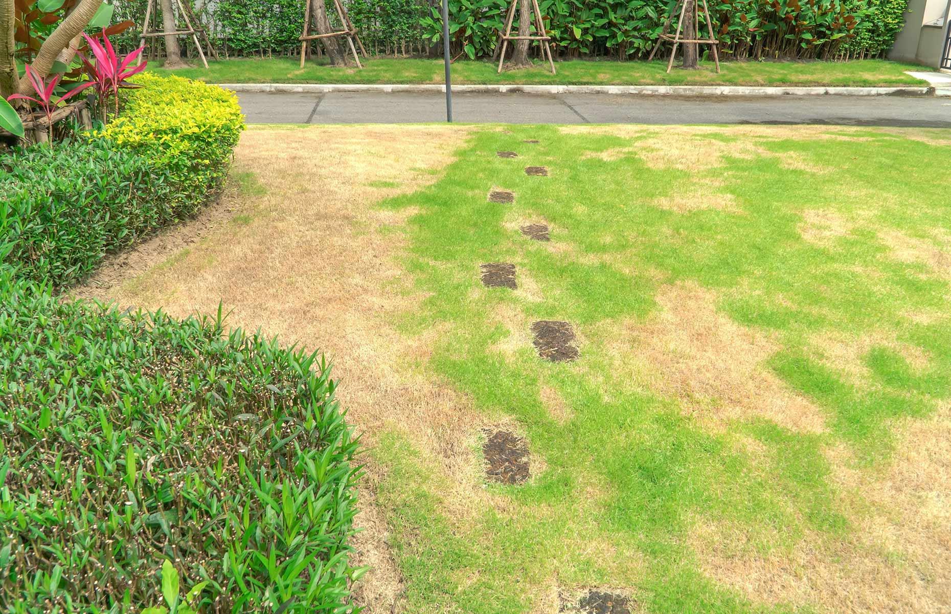 Steer clear of these backyard fails