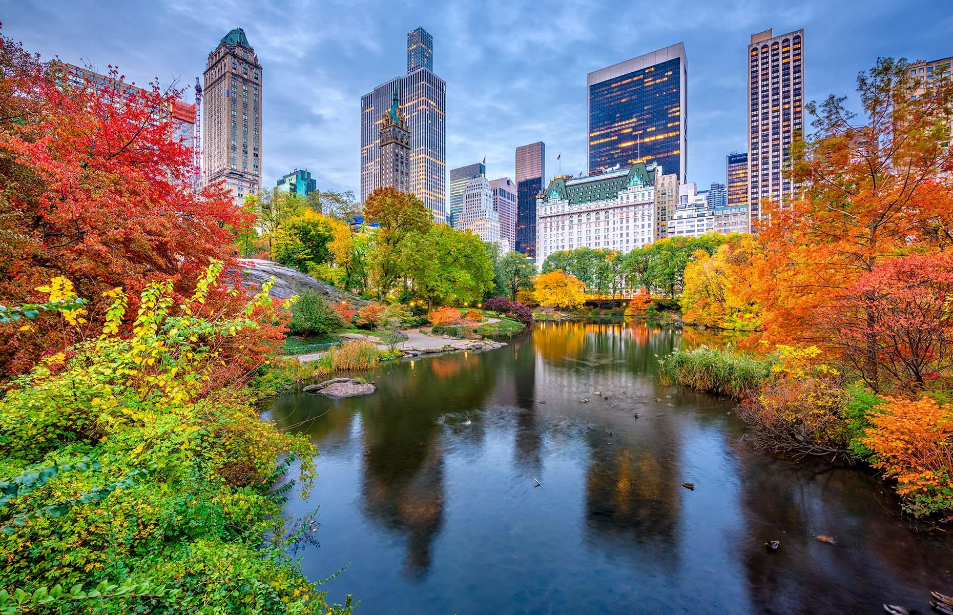 New York City, New York, USA