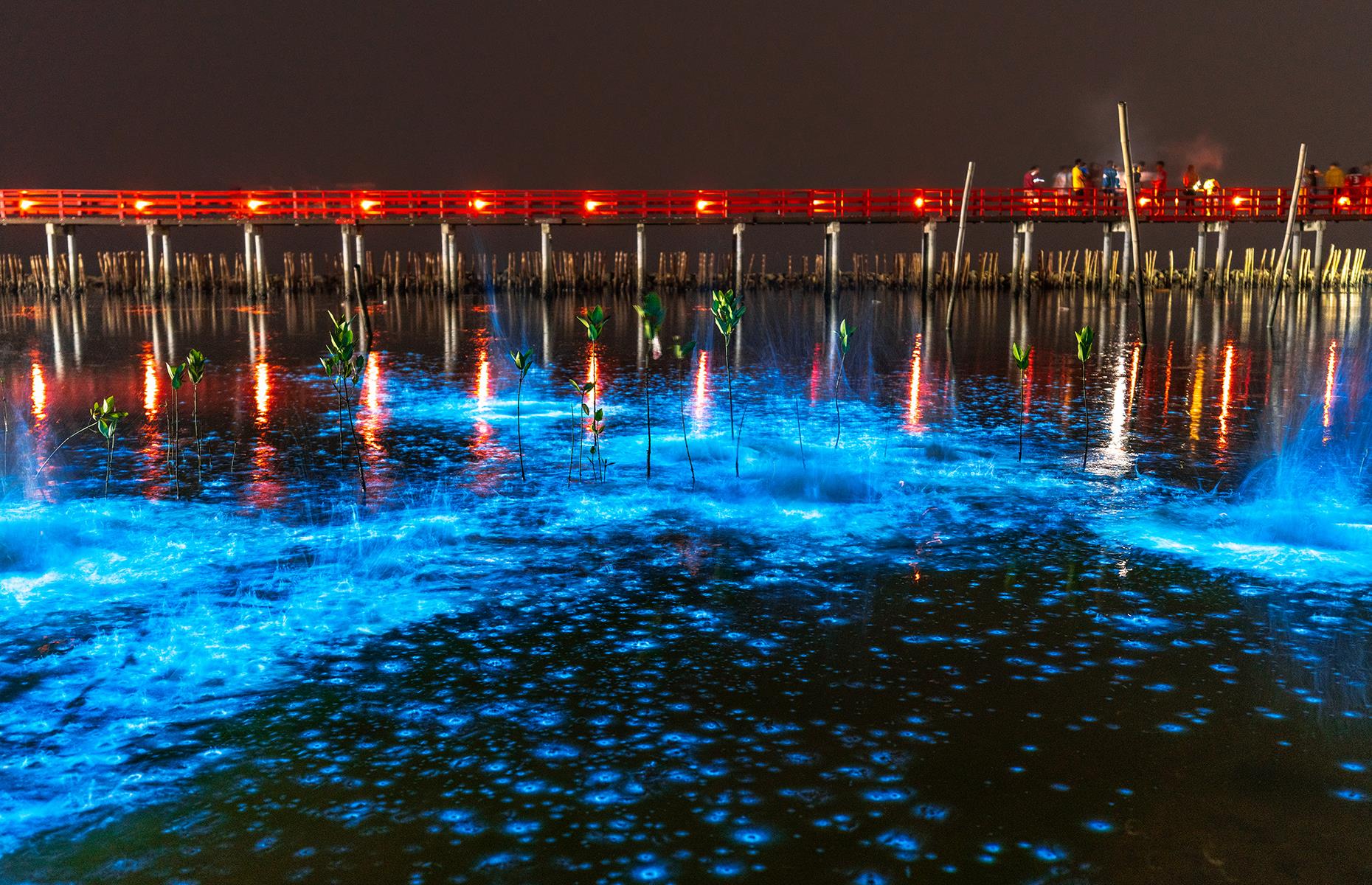 Bioluminescent plankton, Thailand