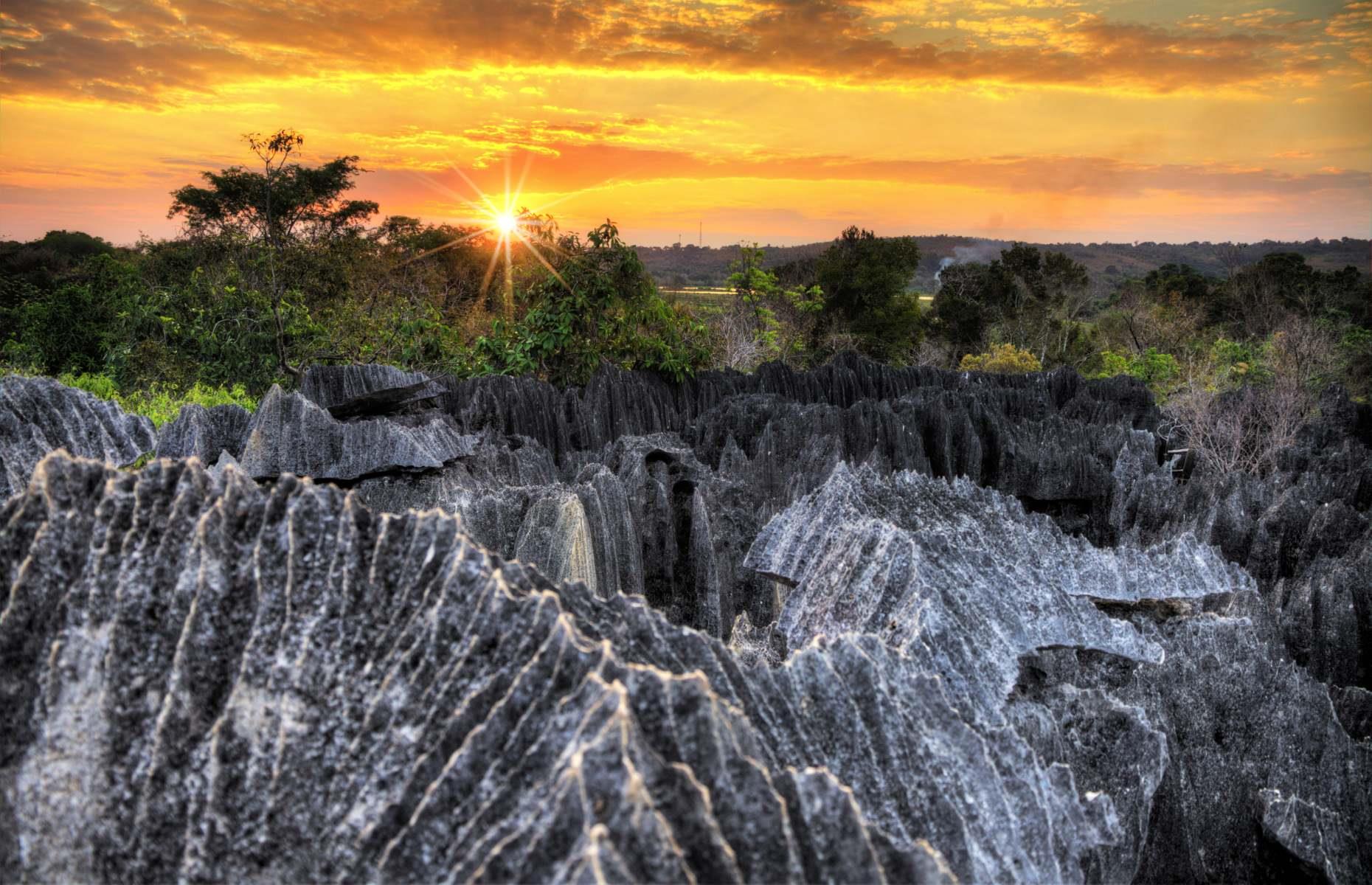 Andrefana Dry Forests, Madagascar
