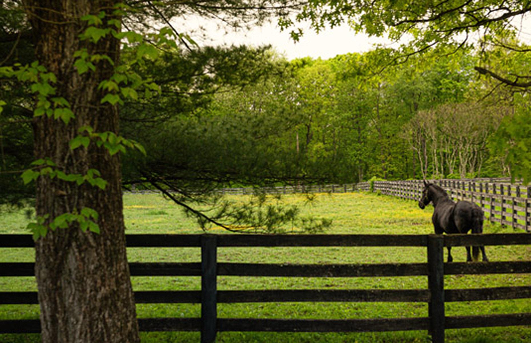 Equestrian facilities 