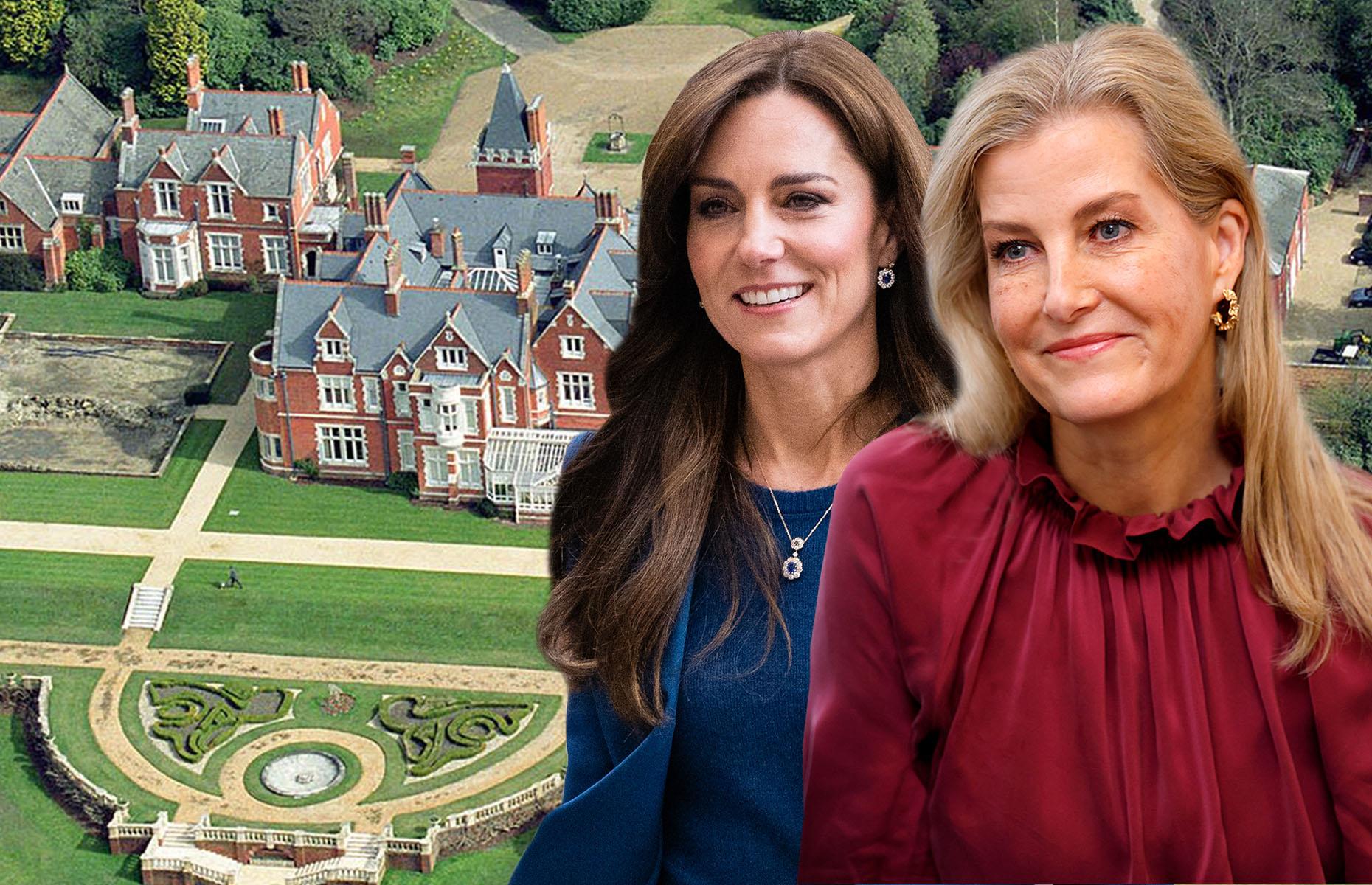 The humble and not-so-humble beginnings of the royal spouses