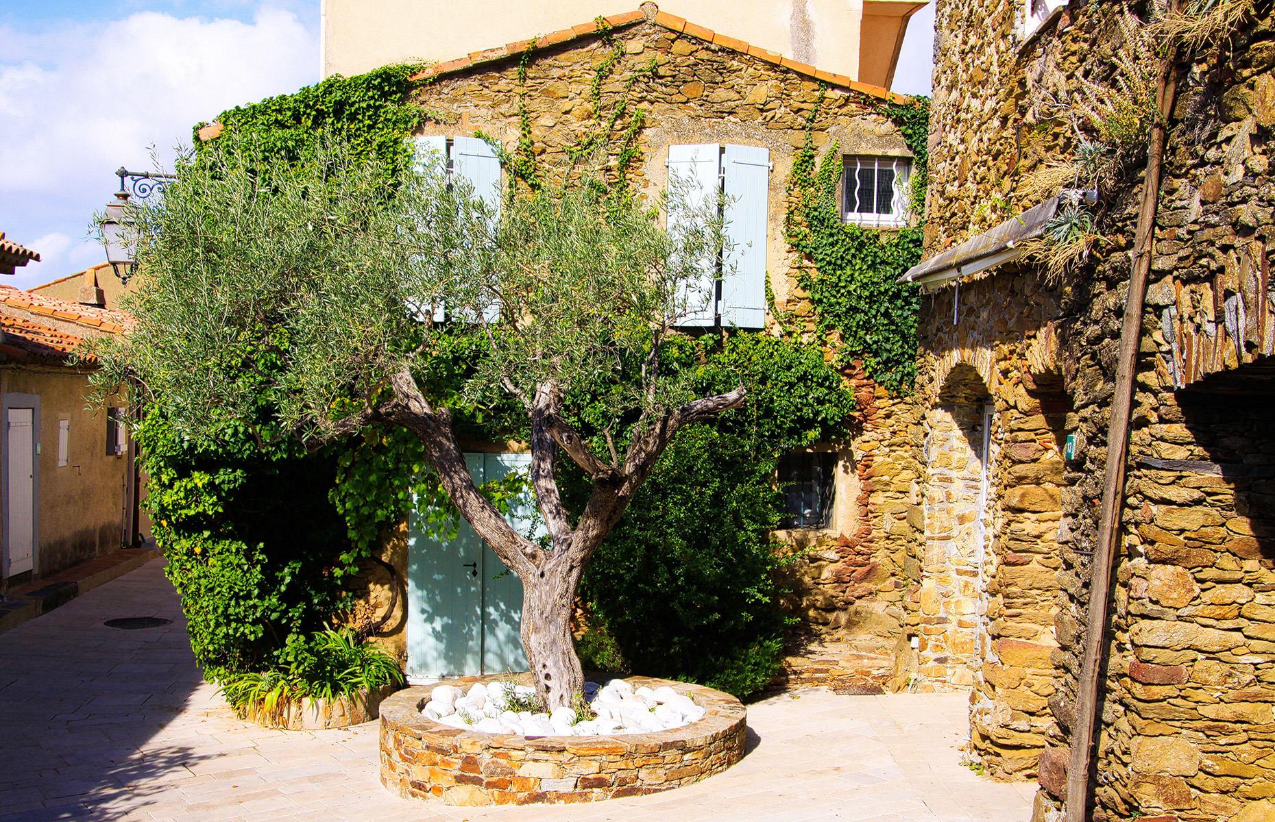Johnny Depp's Gassin, France