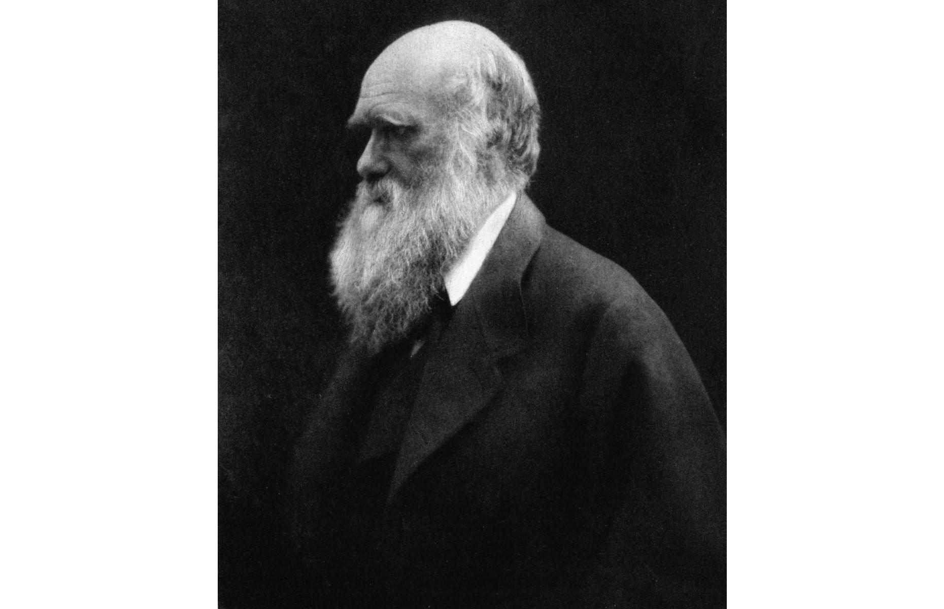 Charles Darwin enjoyed eating unusual animals