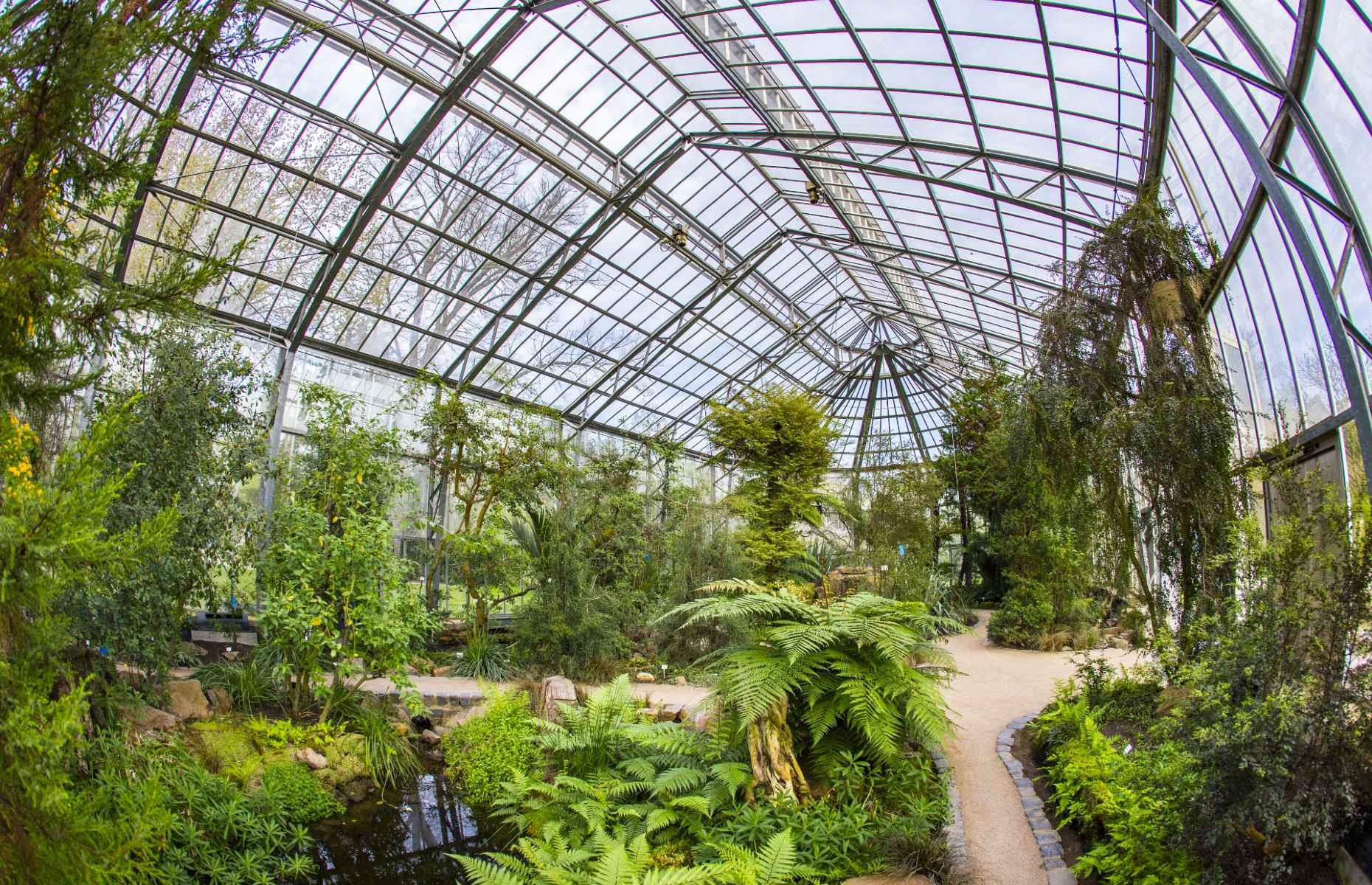 Palmengarten, Frankfurt, Germany