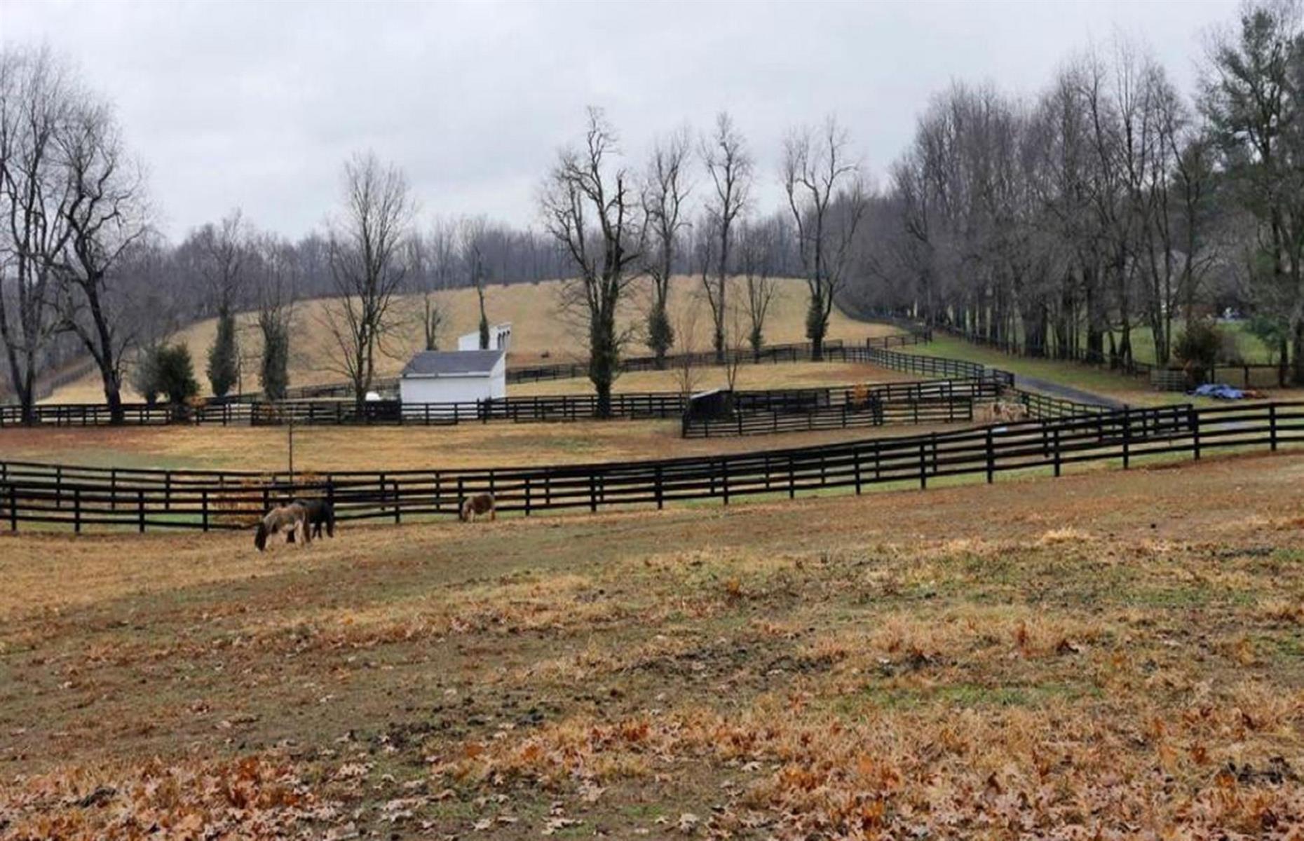 Johnny Depp's horse farm, Kentucky, USA