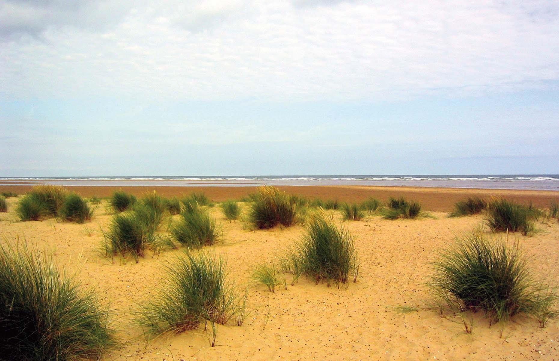 January: Holkham, Norfolk 
