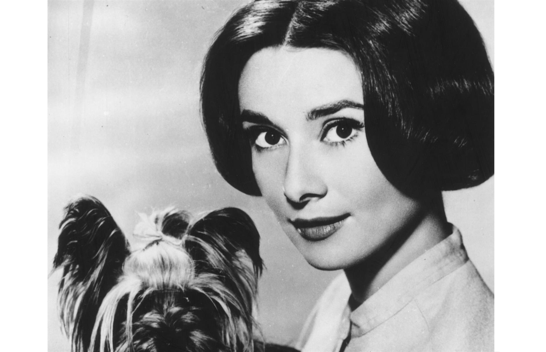1959: Audrey Hepburn with Mr. Famous
