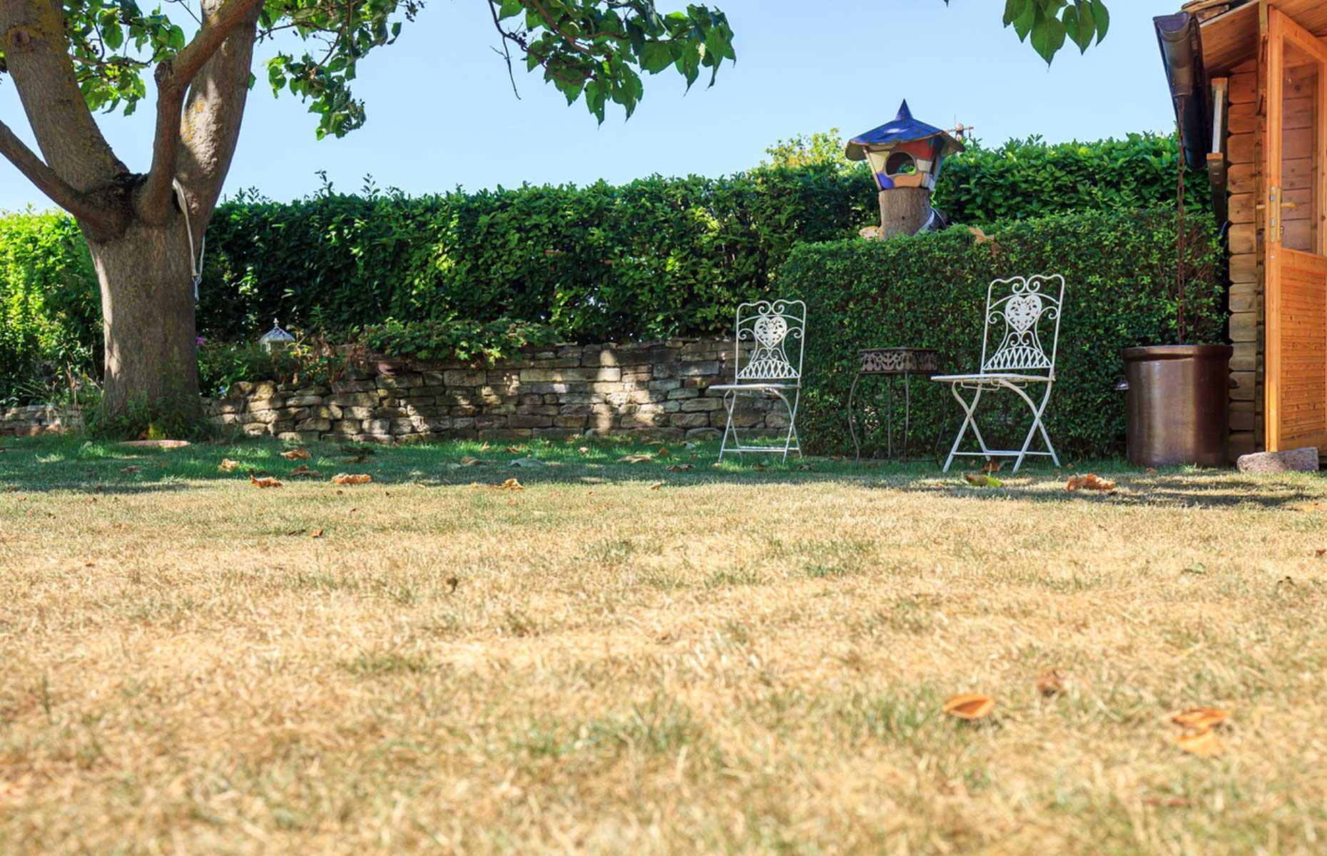 Mowing mistakes
